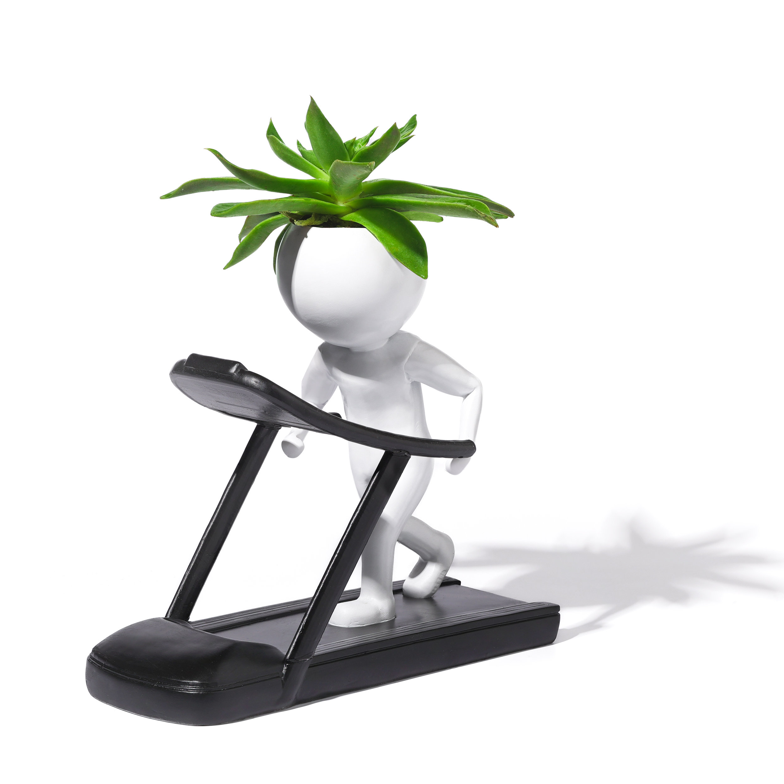 🤣Fitness Succulent Planter🌱