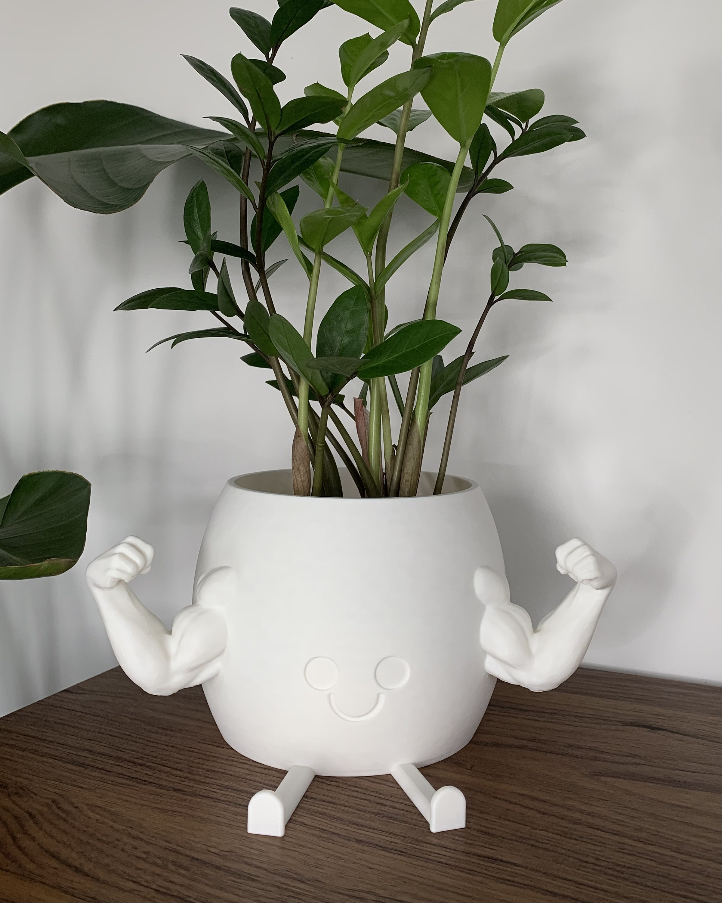 Happy Muscle Douchebag Planter