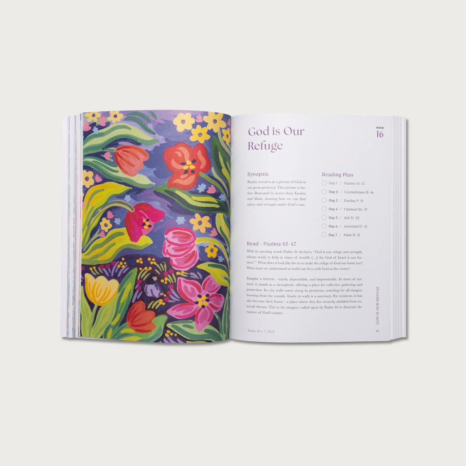 ✝A Beautiful Year in the Bible: The 52-Week Bible Study for Women