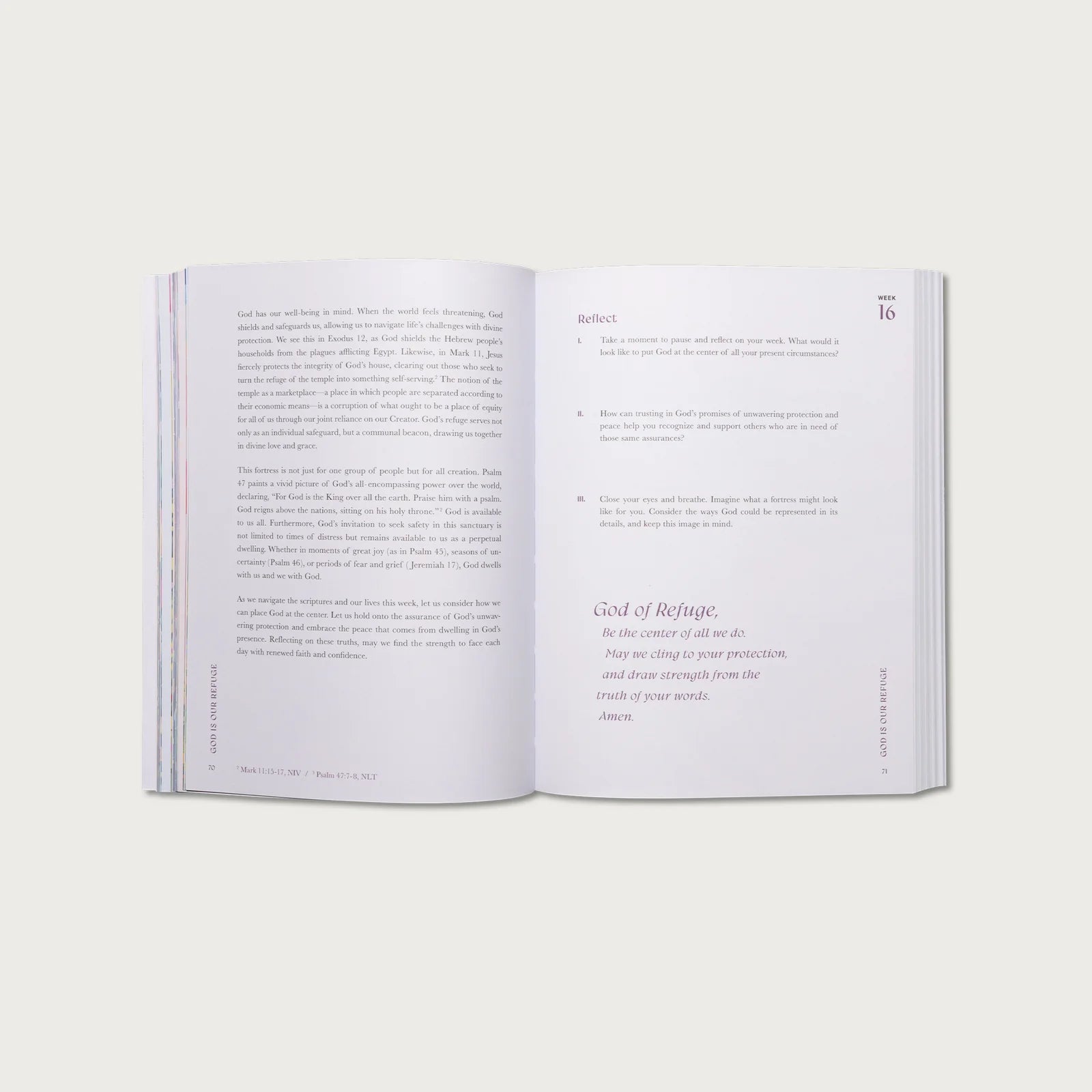 ✝A Beautiful Year in the Bible: The 52-Week Bible Study for Women