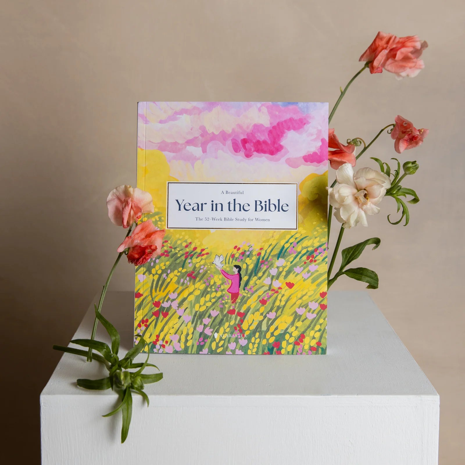 ✝A Beautiful Year in the Bible: The 52-Week Bible Study for Women