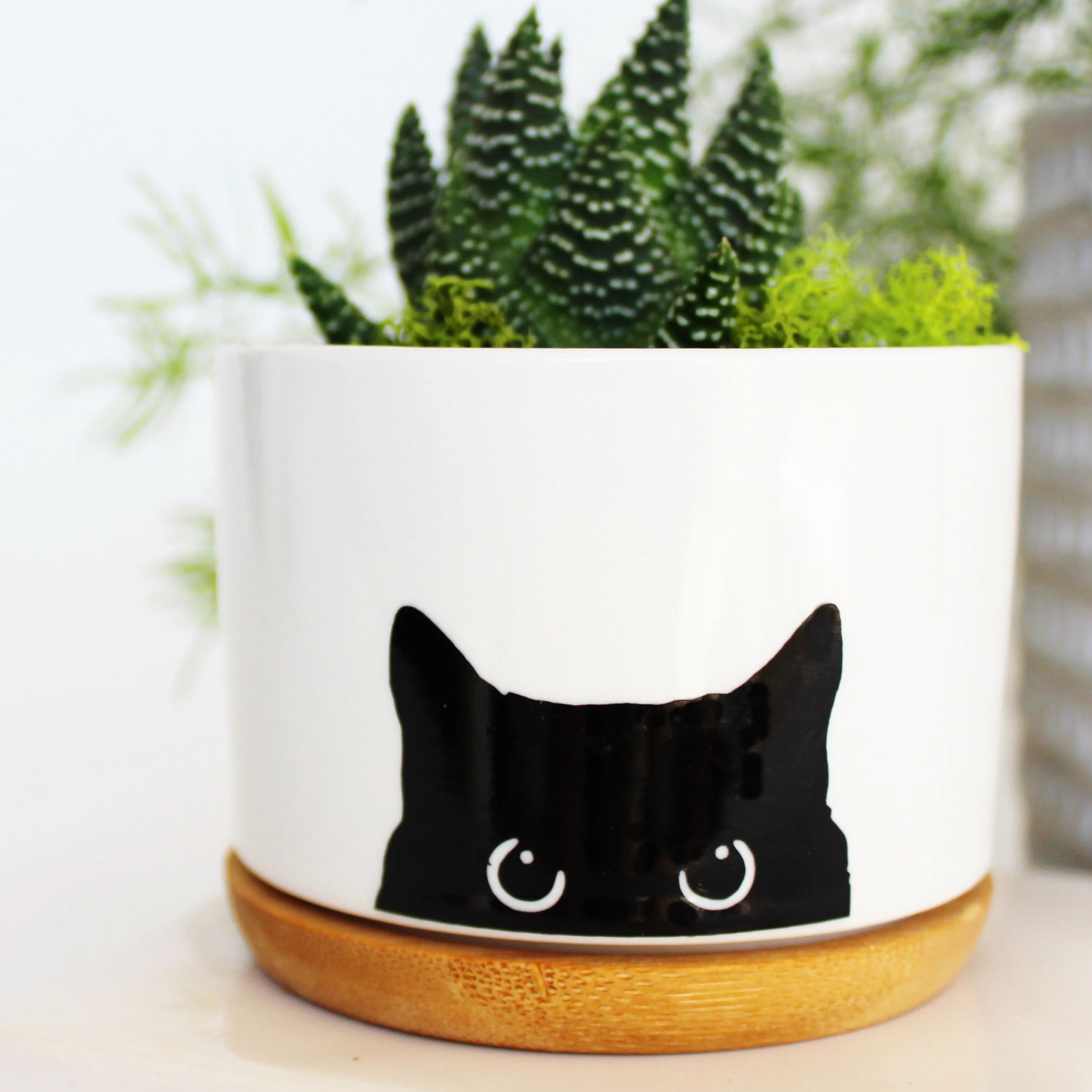 Funny Succulent Planter