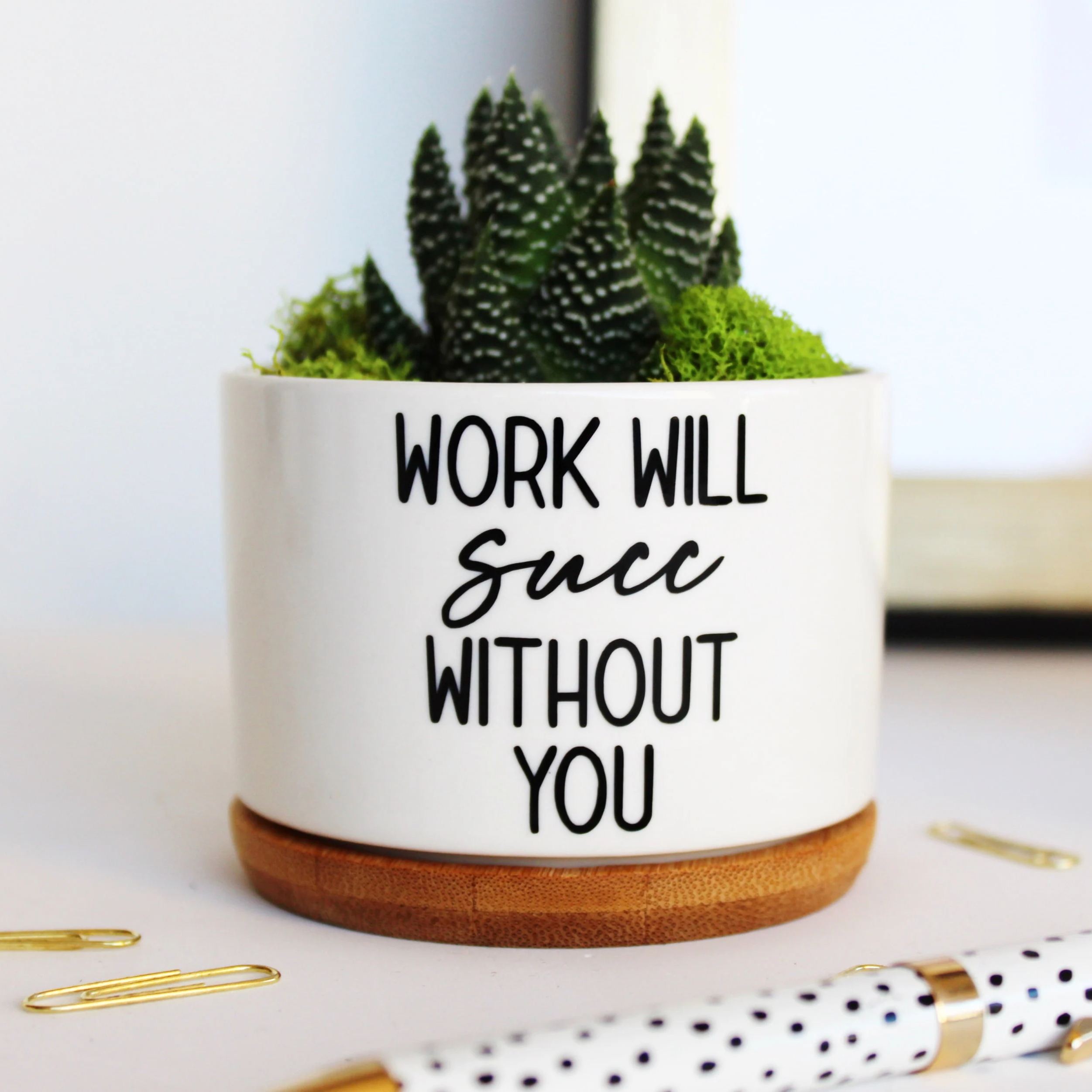 Funny Succulent Planter