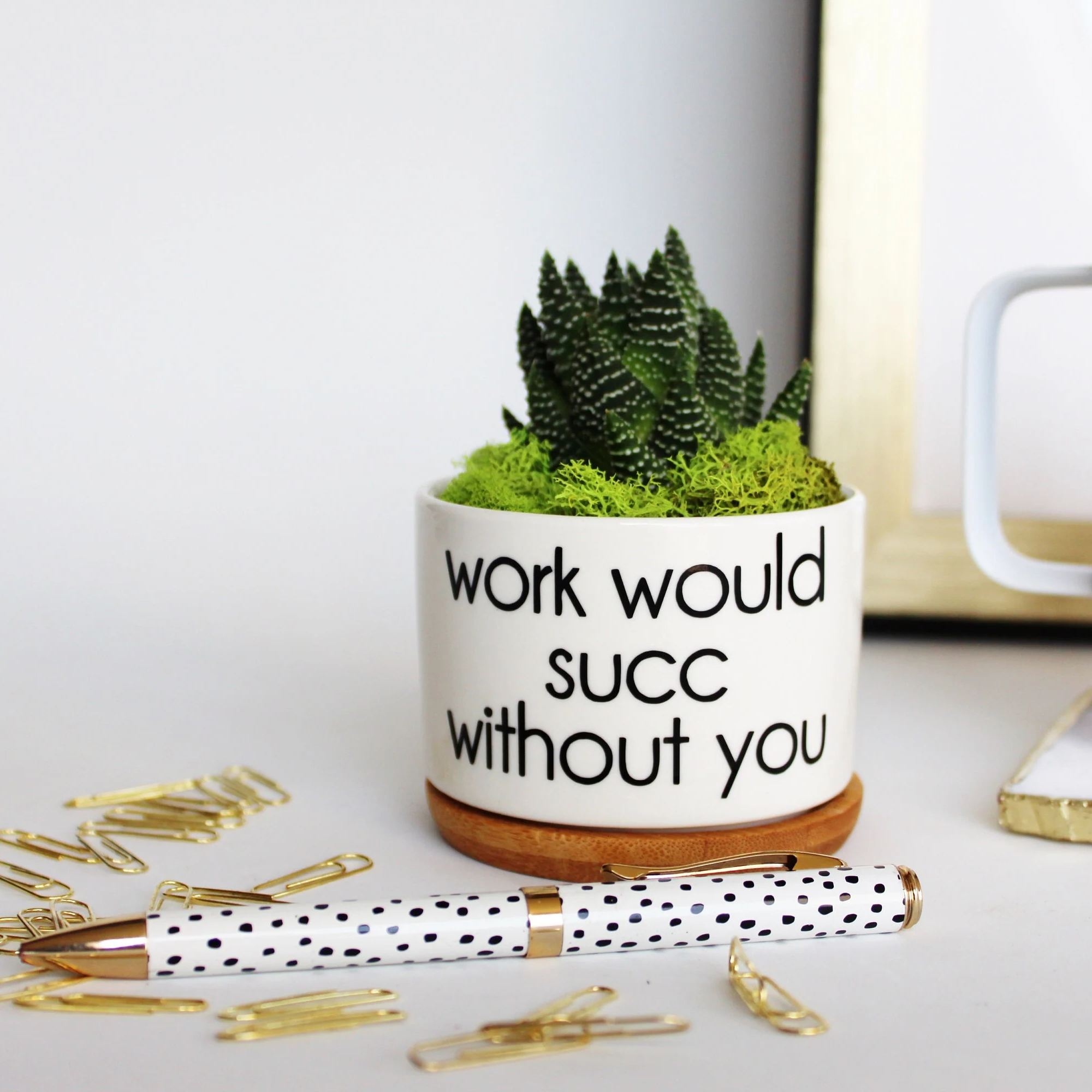 Funny Succulent Planter