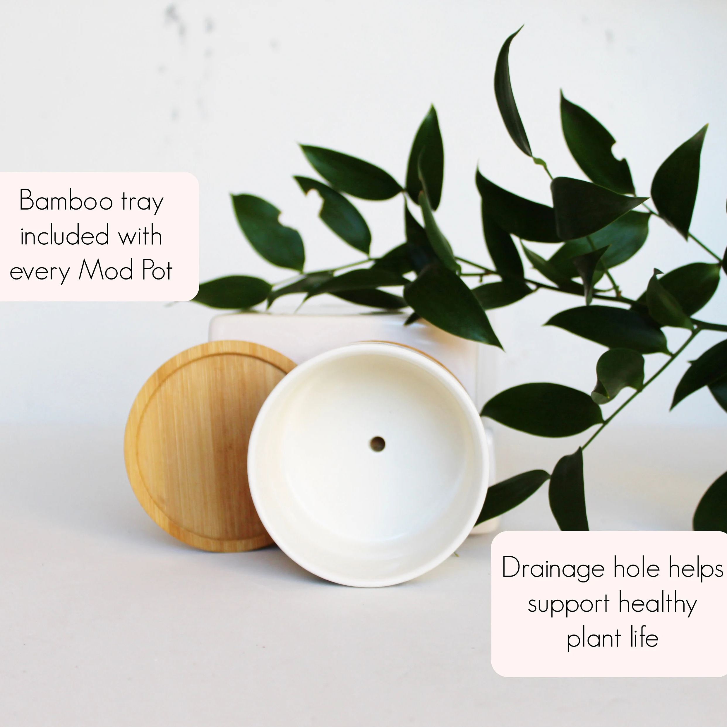 Funny Succulent Planter