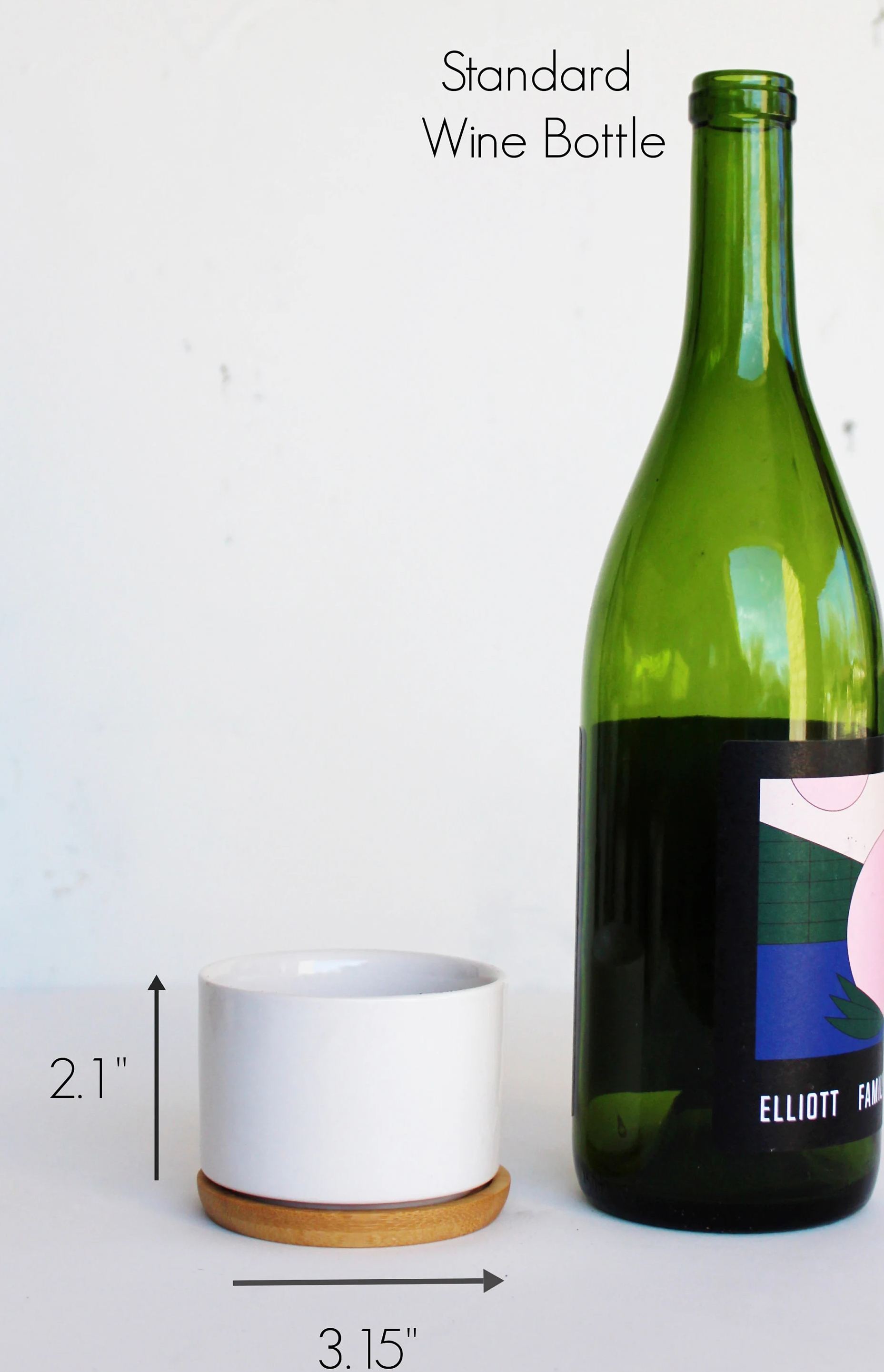 Funny Succulent Planter