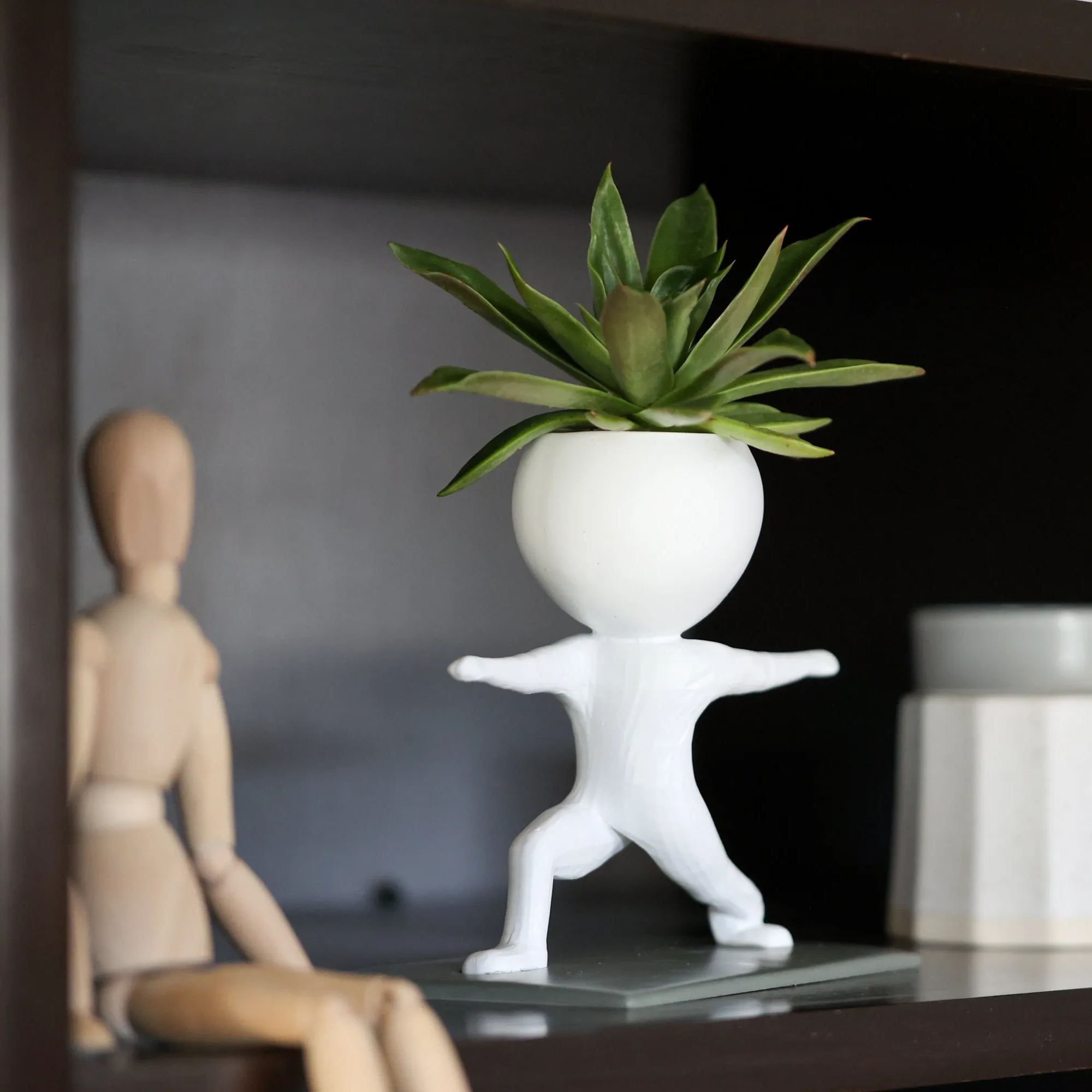 🤣Fitness Succulent Planter🌱