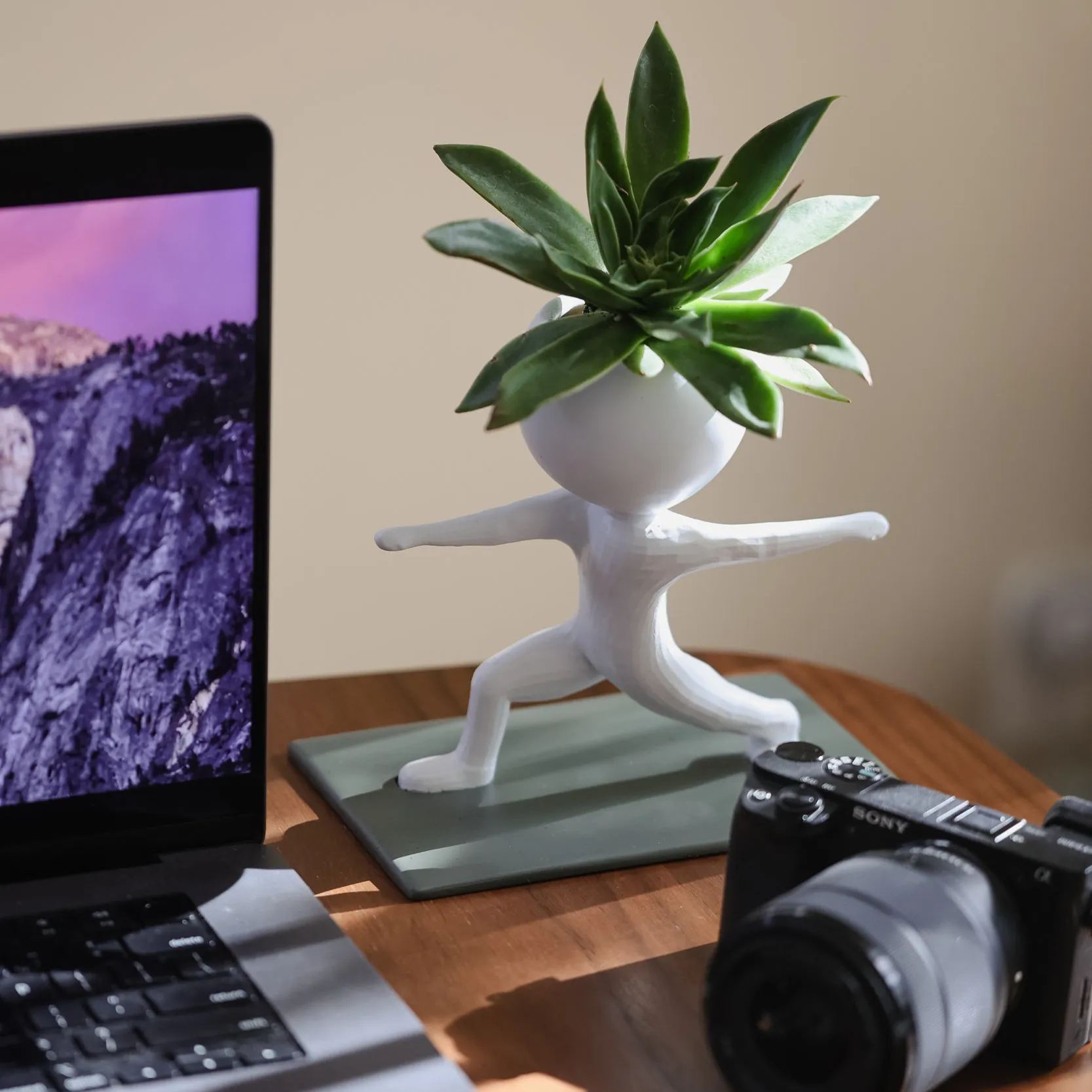 🤣Fitness Succulent Planter🌱