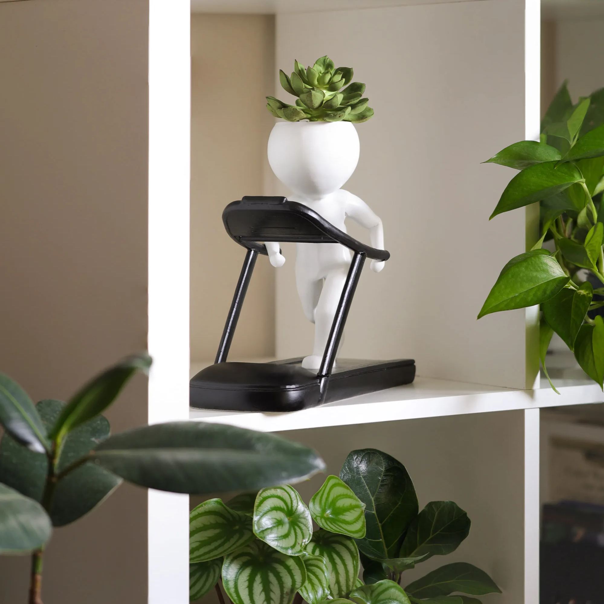 🤣Fitness Succulent Planter🌱