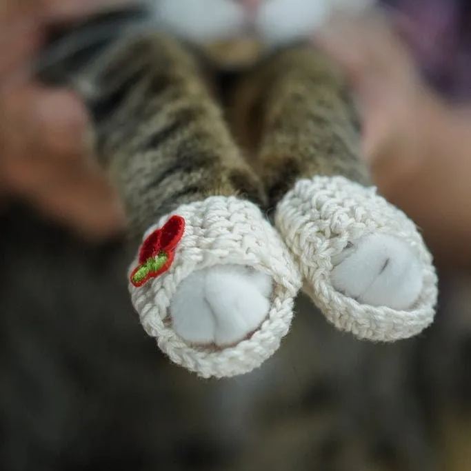 ✨Crochet Slippers For Cats