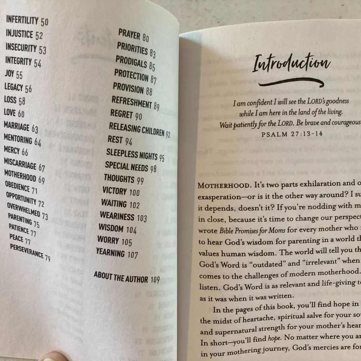 Bible Promises for Moms