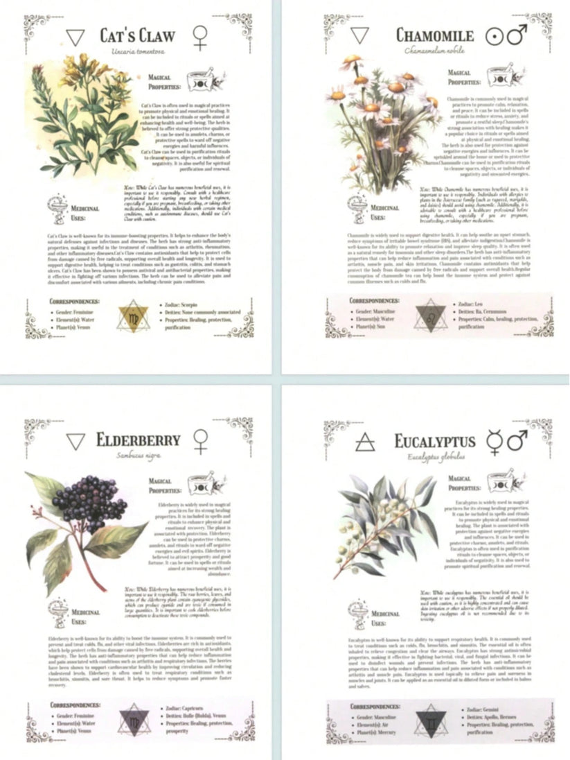 🌿Amish Home Pharmacist: A Natural Healing Handbook📚