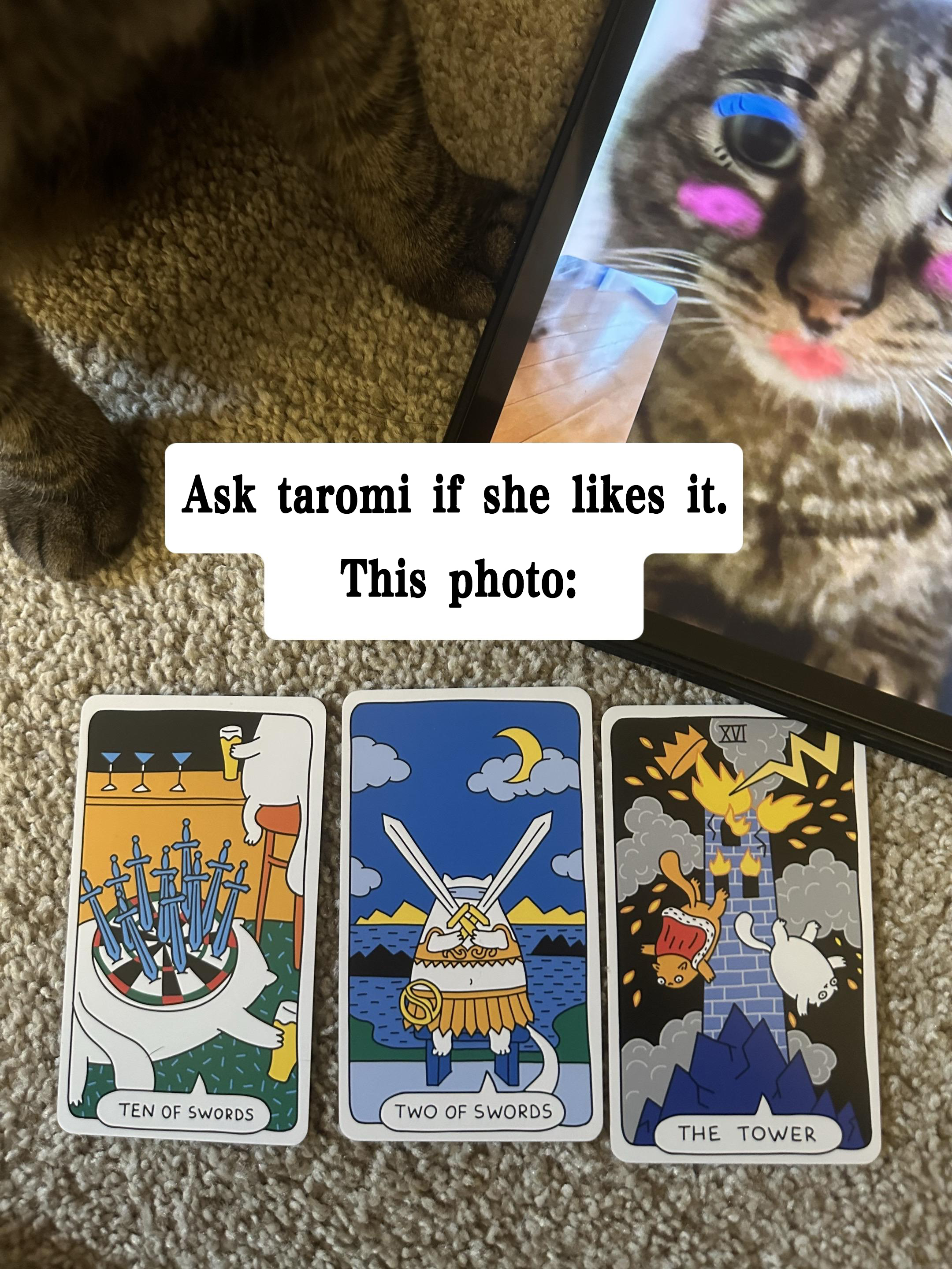 🐾Last Day 49% OFF 🐱Cat Tarot Cards🔮For Cat Lovers And Tarot Beginners, Great For Party Entertainment