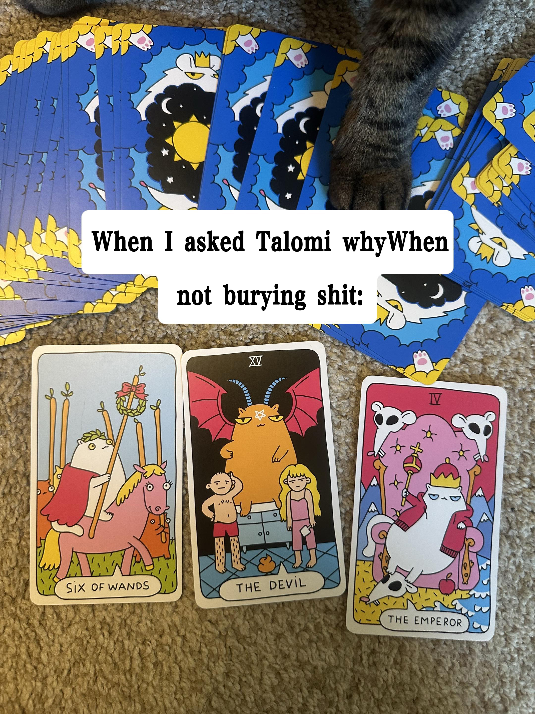 🐾Last Day 49% OFF 🐱Cat Tarot Cards🔮For Cat Lovers And Tarot Beginners, Great For Party Entertainment