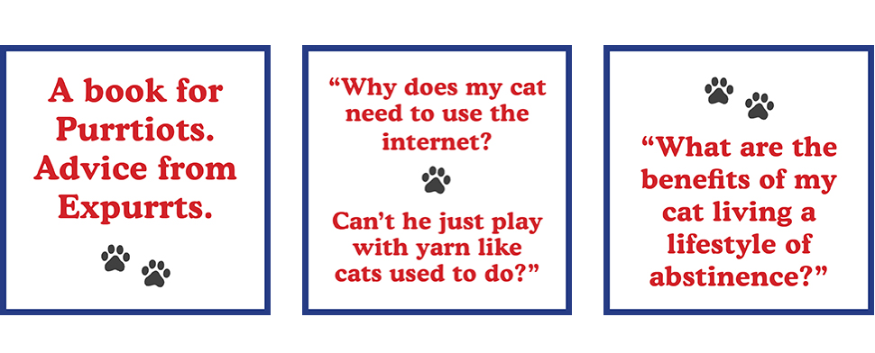 🐈How to Talk to Your Cat About Gun Safety: The Essential Guide for the Modern Concerned Pet Parent 🐾🔫
