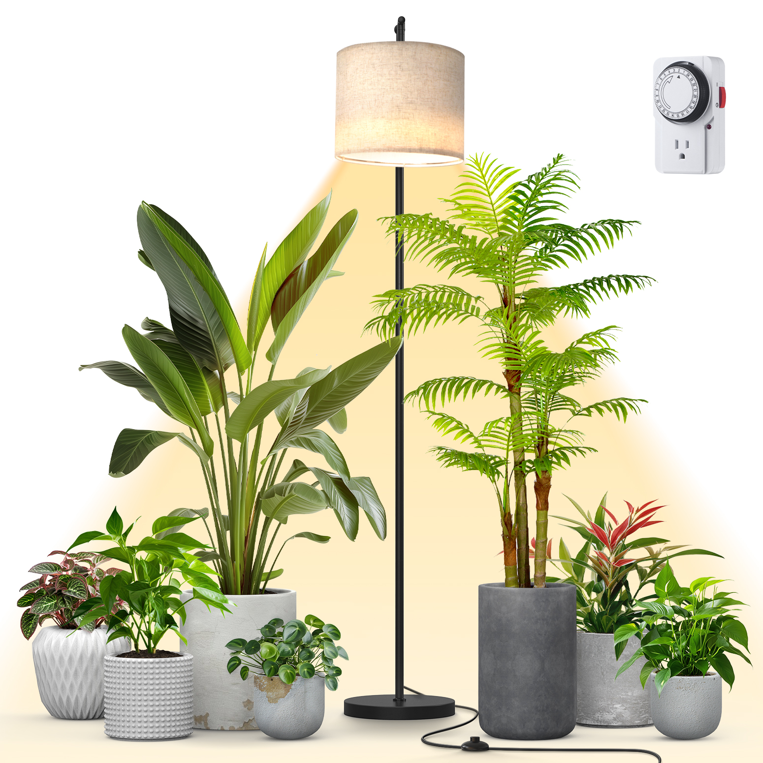 Bstrip 25W Floor Grow Light for Indoor Plants, Full Spectrum Adjustable Stand Lamp with Auto Timer and 3000K Warm Light