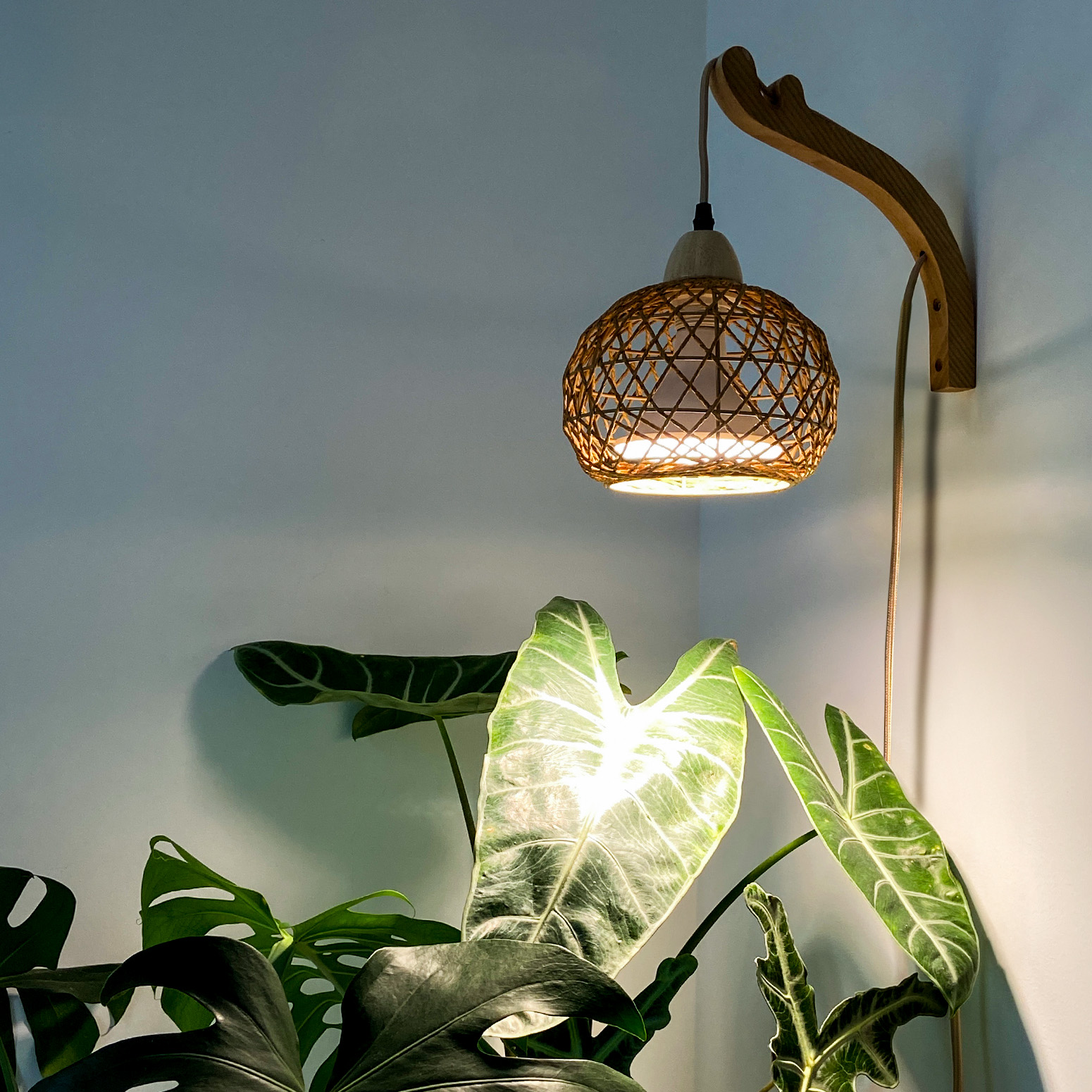 Bstrip 18W Rattan Hanging Grow Light for Indoor Plants, Full Spectrum Wall Mounted Plant Light with Wood Bracket, 9.8FT Cord, 547 PPFD Decorative Lighting for Tall Plants, Flowers, Home Decor