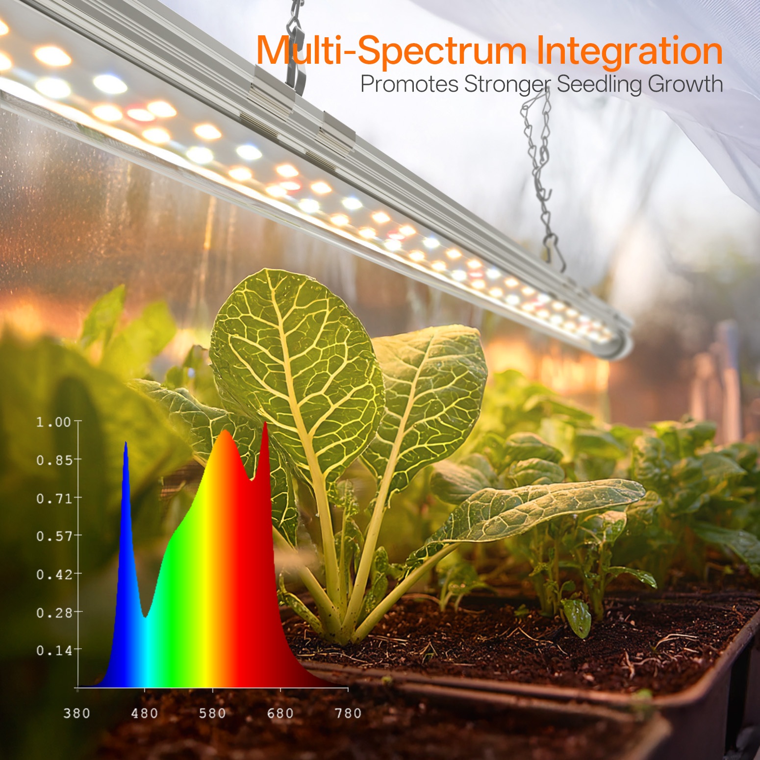 Bstrip Indoor Greenhouse with Grow Light, 23.8"x15.7"x20.5" Mini Grow Tent with 18W Full Spectrum LED Light & Timer, PE Base Mat & Ventilation Windows for Seed Starting, All-Season Indoor Gardening