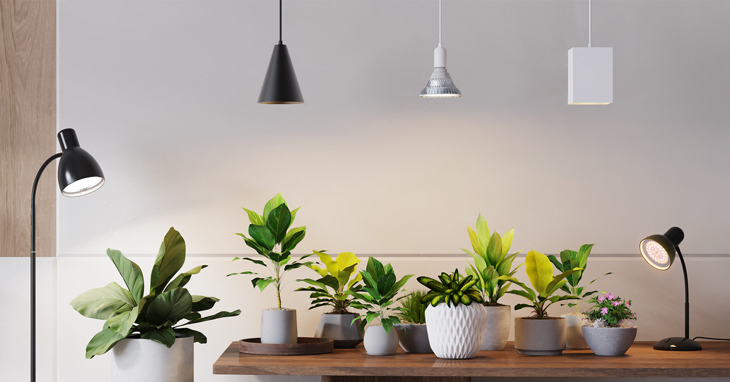 LED Grow Light