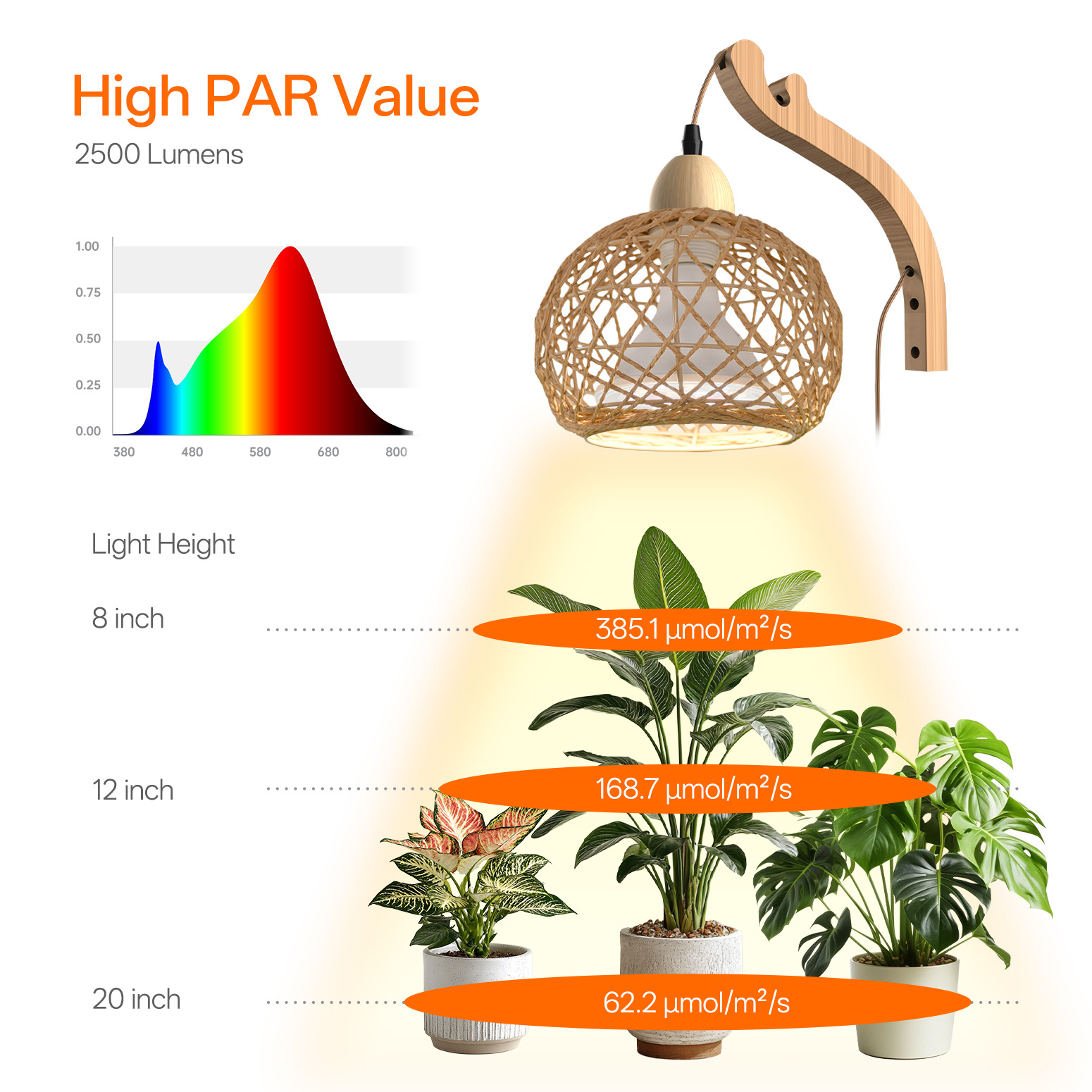 Bstrip 18W Rattan Hanging Grow Light for Indoor Plants, Full Spectrum Wall Mounted Plant Light with Wood Bracket, 9.8FT Cord, 547 PPFD Decorative Lighting for Tall Plants, Flowers, Home Decor