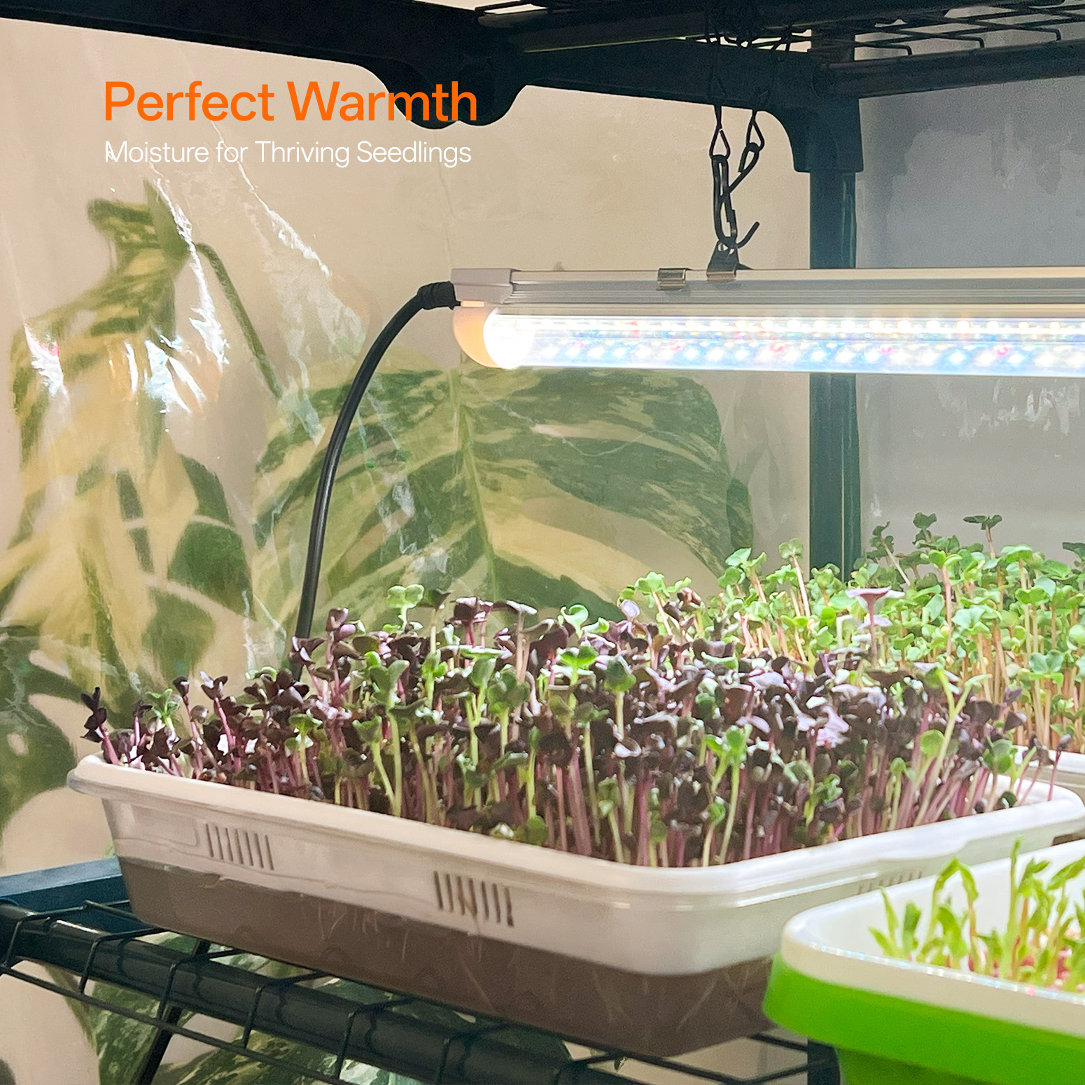 Bstrip 74.8" 5-Tier Indoor Greenhouse with Grow Lights, Large Grow Tent with Timer, PVC Cover and Ventilation System