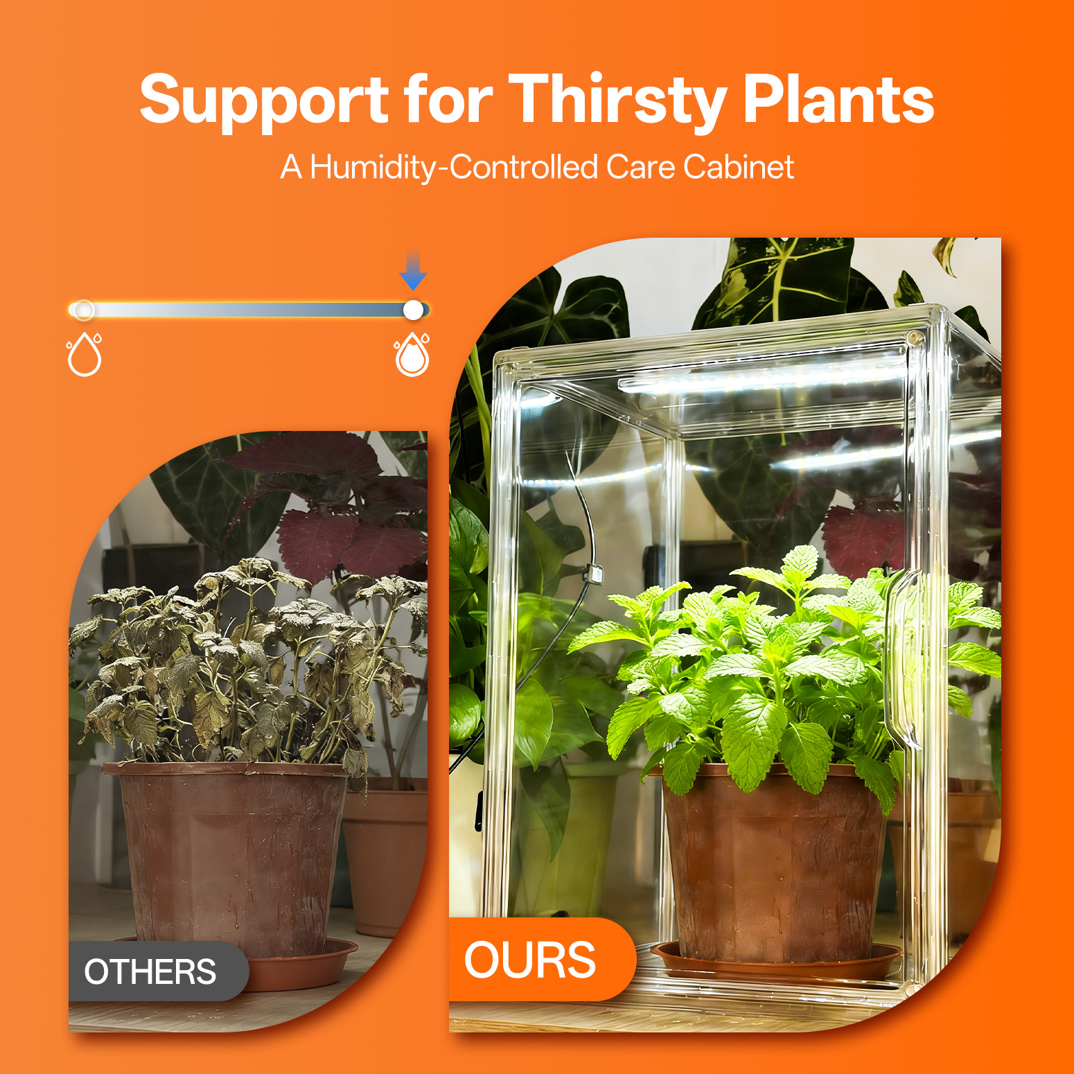 Bstrip Stackable Mini Greenhouse with Grow Light, Magnetic Humidity Control Display Case with LED Timer