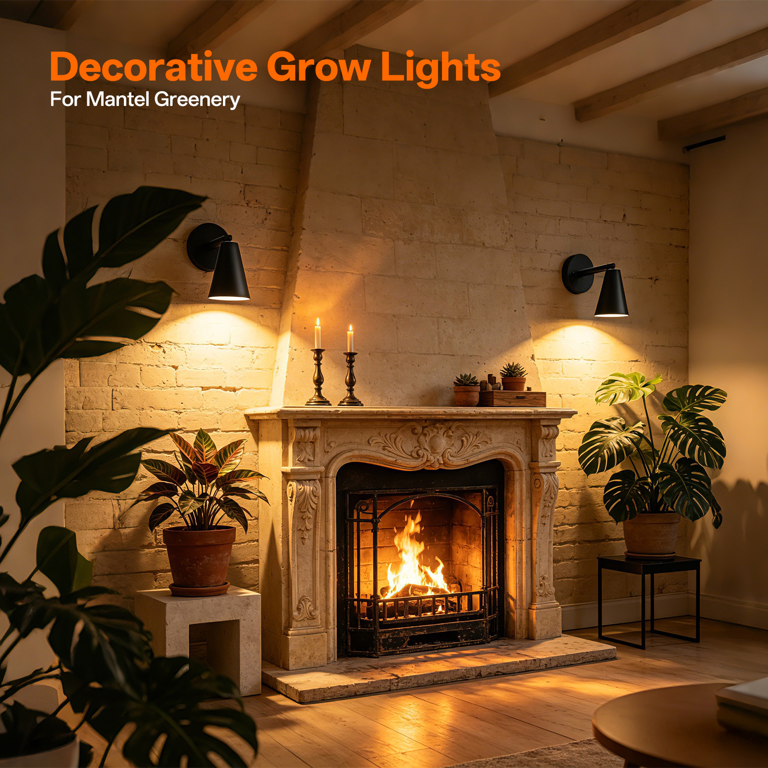 Bstrip W31 Wall Mounted Grow Light, 25W Full Spectrum LED Plant Light with Timer, 350° Adjustable Head & 180° Tilt, Decorative Black Metal Shade Hanging Grow Lamp for Indoor Plants, Flowers & Bonsai