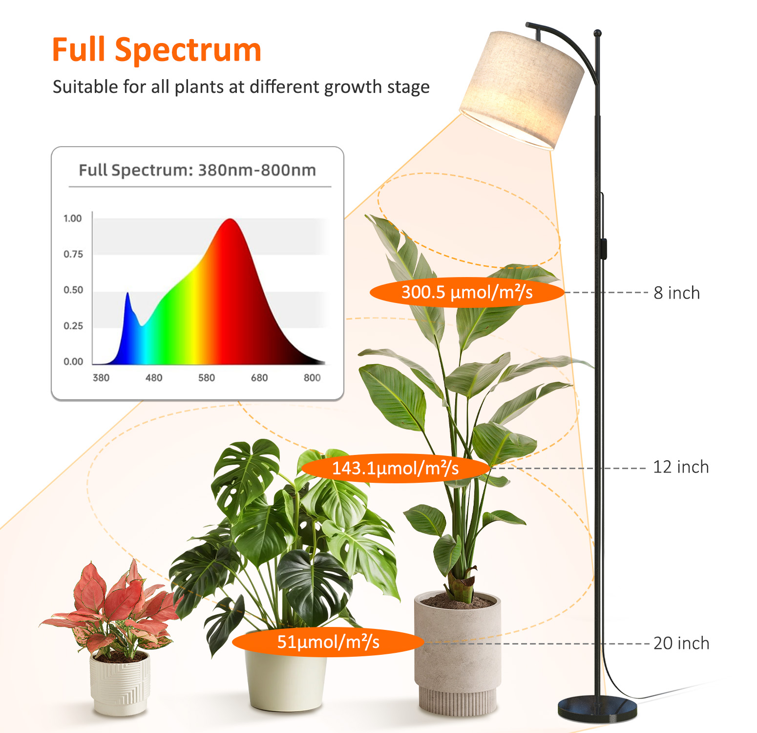 Bstrip 70.8" Tall Grow Light for Indoor Plants, 25W Full Spectrum Floor Lamp with Auto On/Off Timer, 3000K Adjustable Plant Light Stand for Seedlings, Flowering, Fruiting, Home Gardening