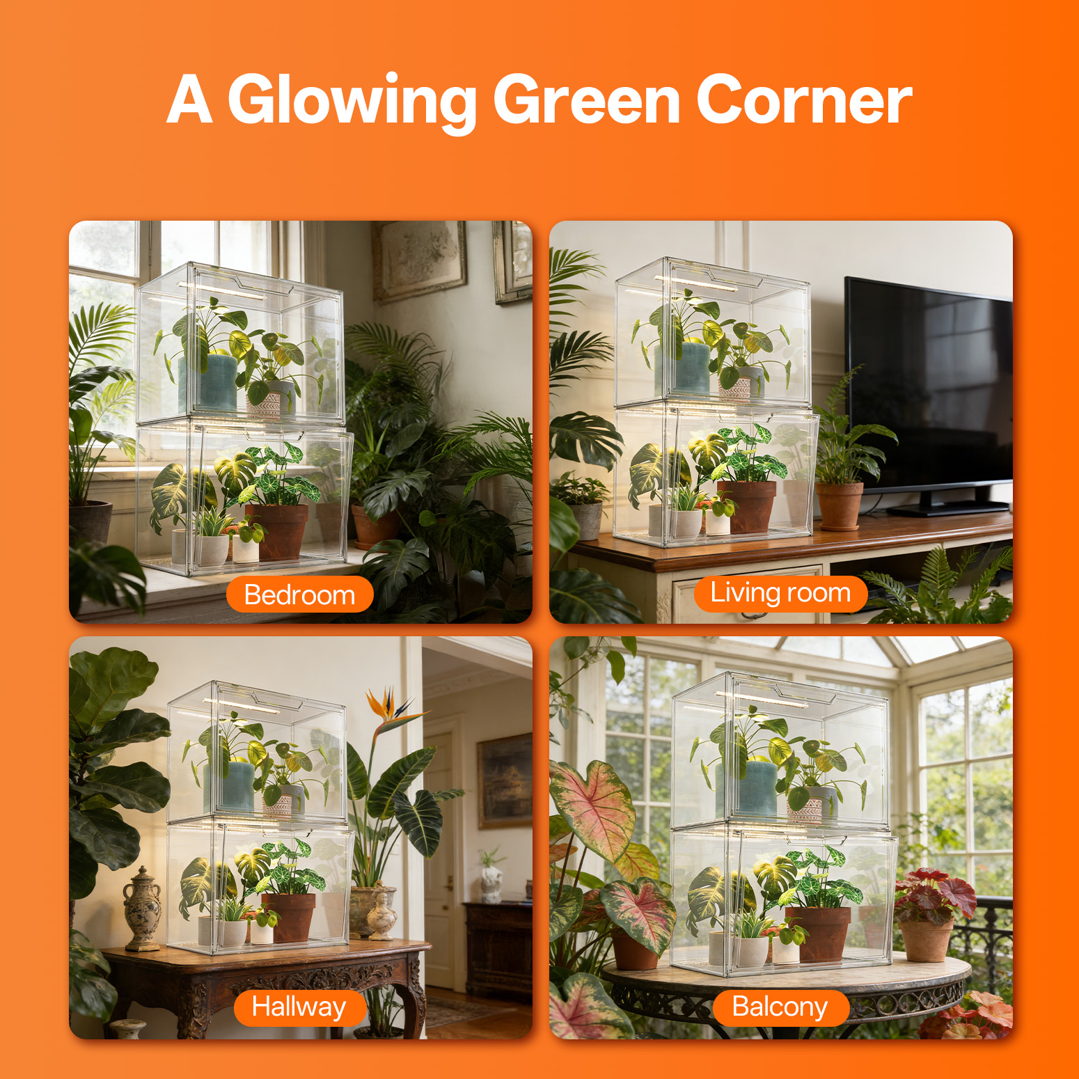 Bstrip Stackable Mini Greenhouse with Grow Light, Magnetic Humidity Control Display Case with LED Timer