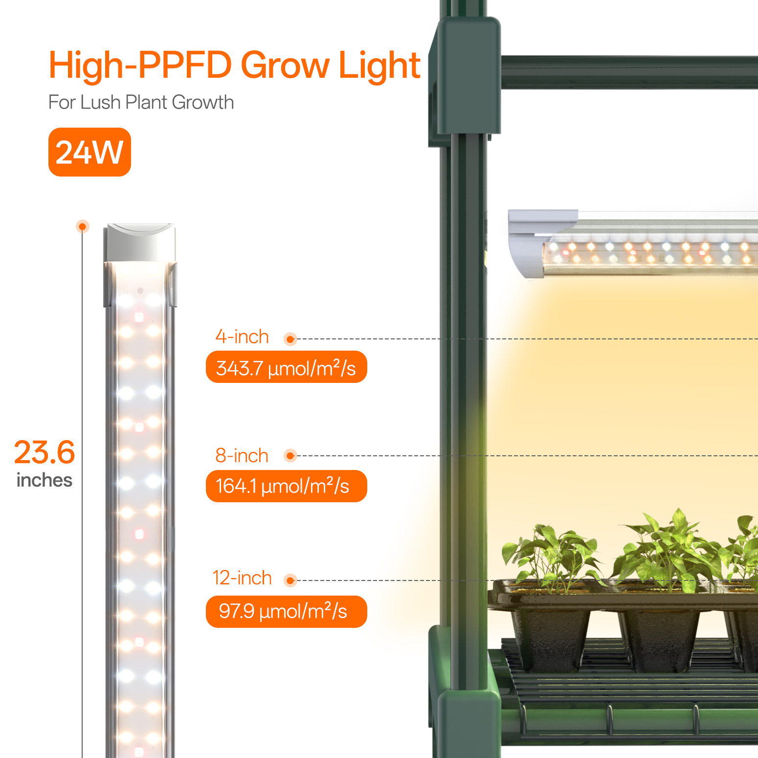 Bstrip 63" 4-Tier Indoor Greenhouse with Grow Lights, Mini Grow Tent with Timer, PVC Cover and Ventilation Windows