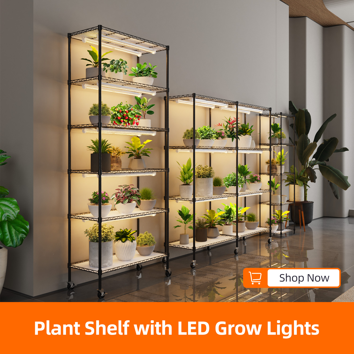 Plant Shelf with Grow Light