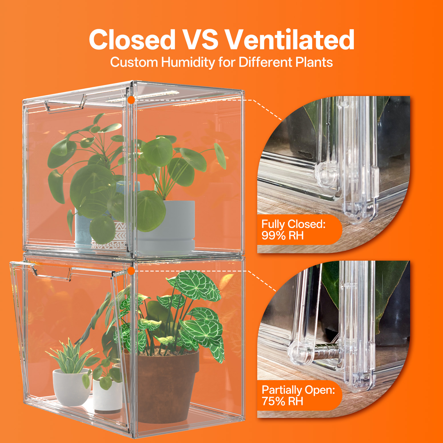 Bstrip Stackable Mini Greenhouse with Grow Light, Magnetic Humidity Control Display Case with LED Timer