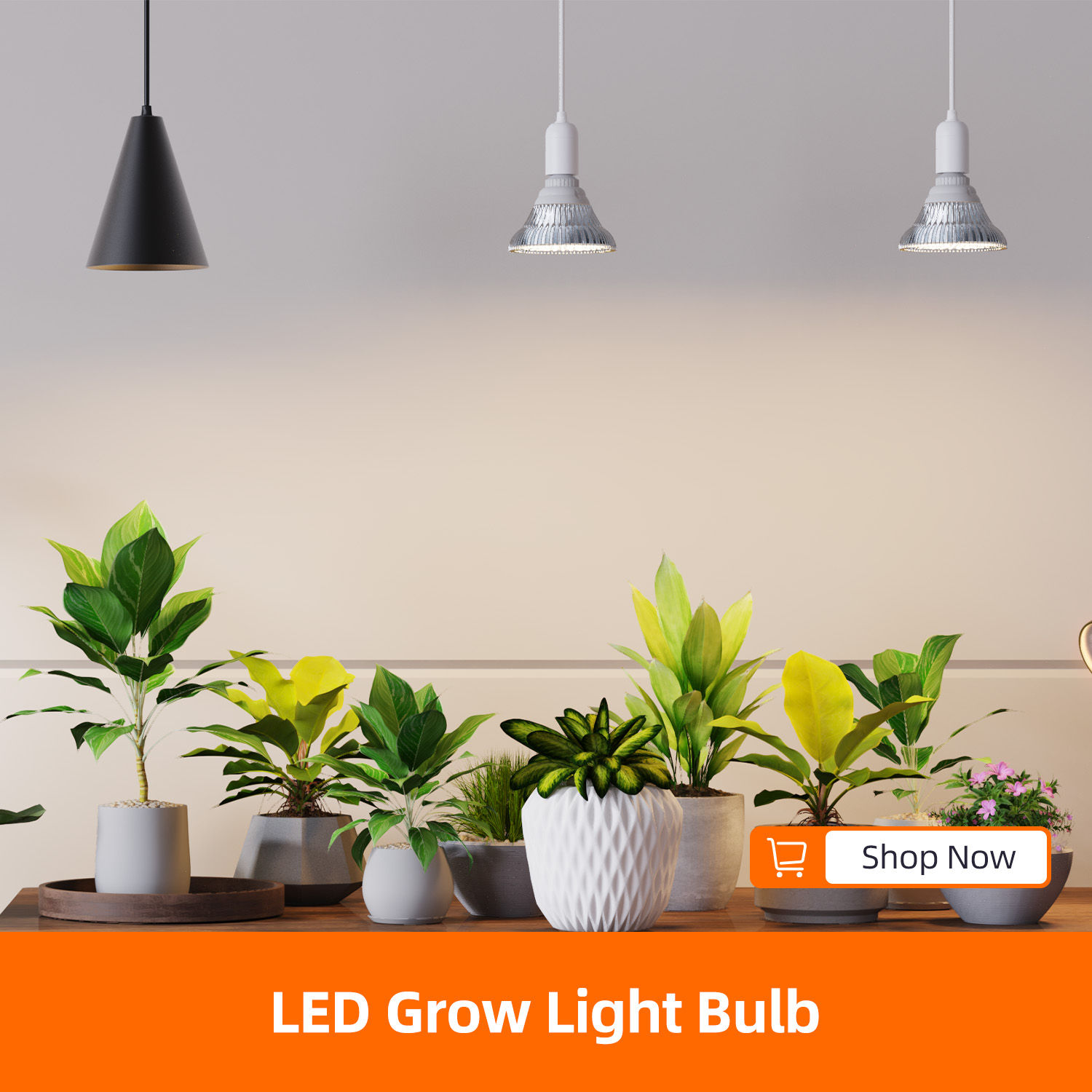 Led Grow Light