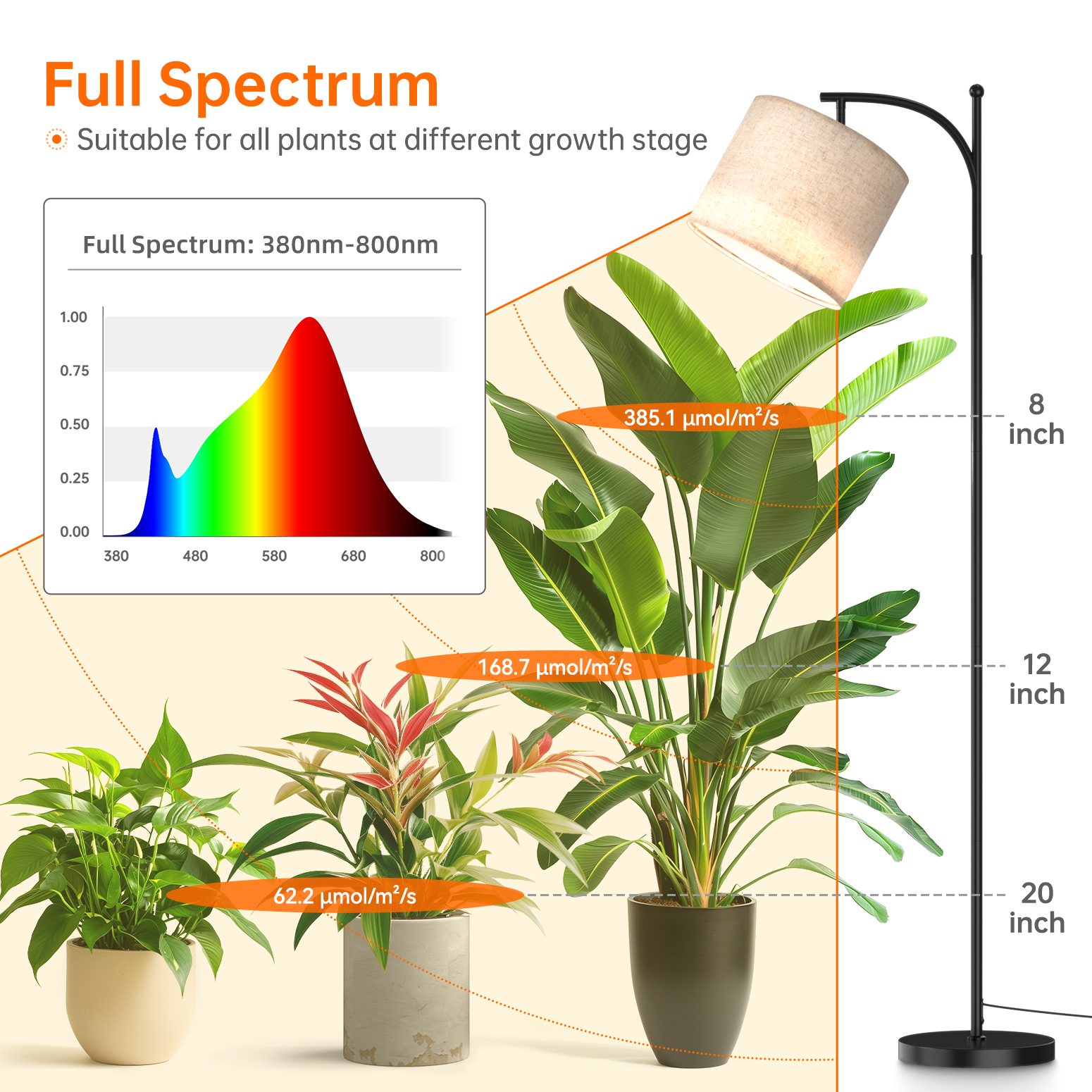 Bstrip 25W Floor Grow Light for Indoor Plants, Full Spectrum Adjustable Stand Lamp with Auto Timer and 3000K Warm Light