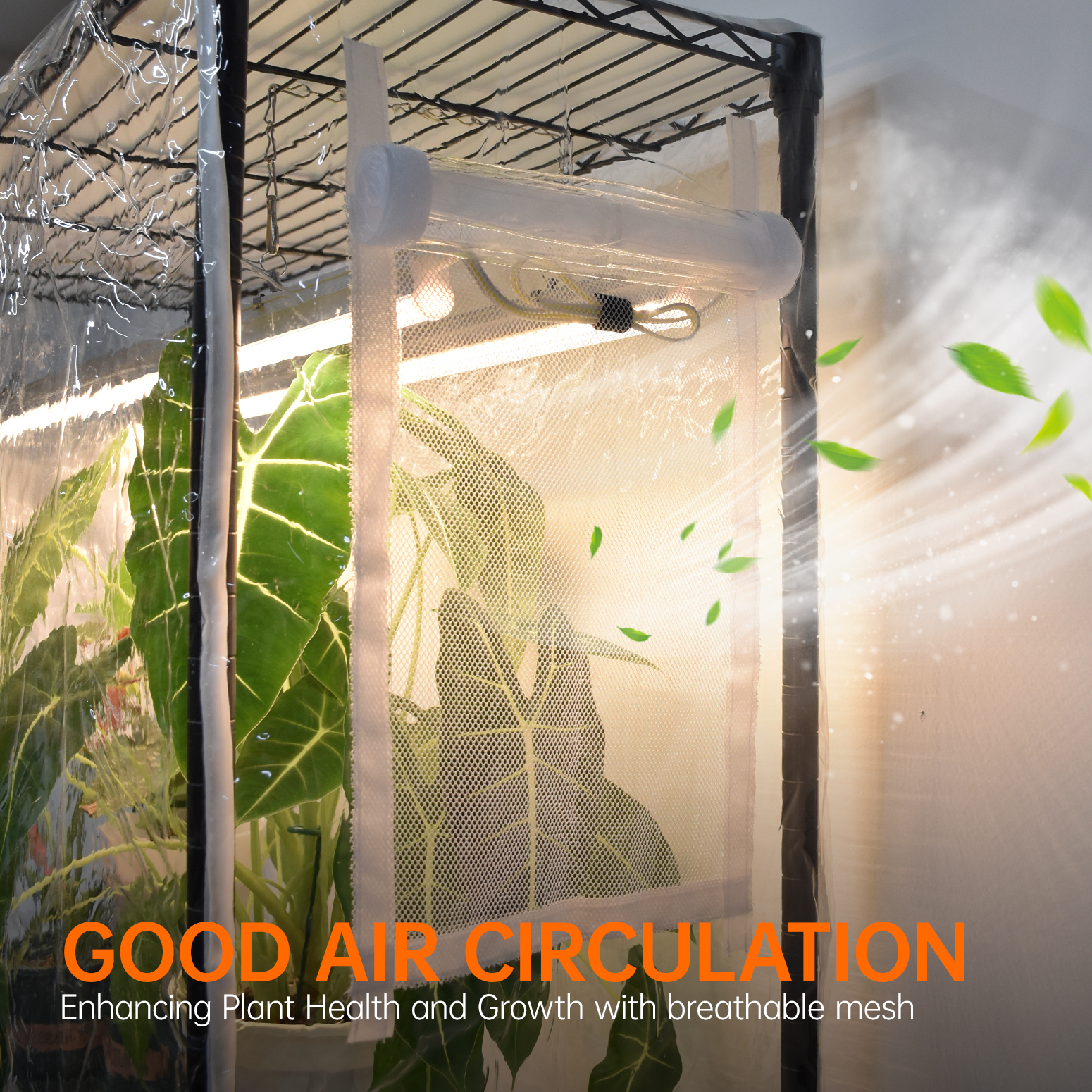 Bstrip Indoor Greenhouse with Grow Lights, 70.8 Inch Tall Plant Stand with 6-Pack Full Spectrum LED Plant Lights, Greenhouse Tent with Dual Power Cords & Wheels for Indoor Gardening, Seed Starting, Tropical Plants