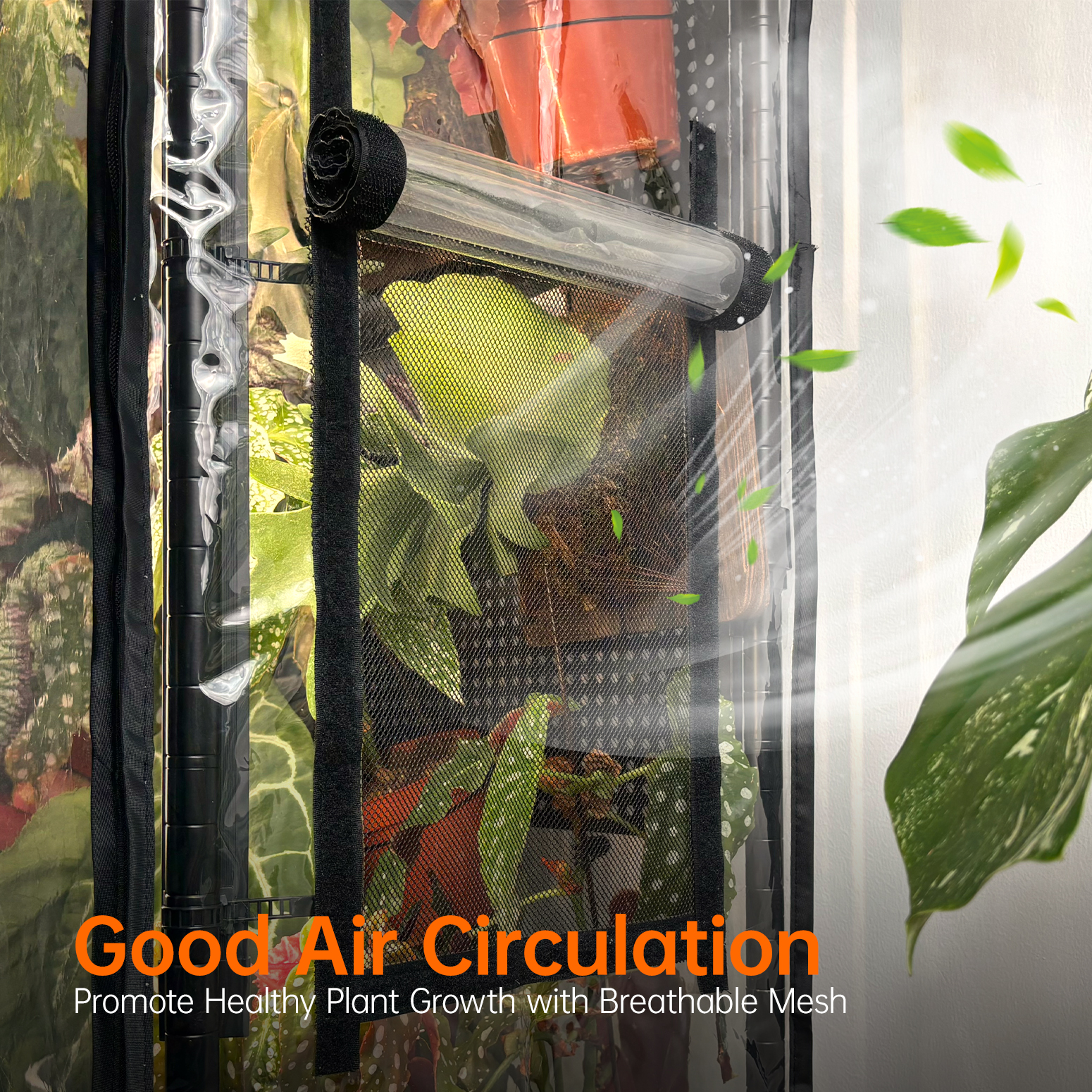 Bstrip 59" Indoor Greenhouse with Grow Light and Pegboard, Mini Greenhouse with EVA Cover and 4x24W Full Spectrum LED Lights