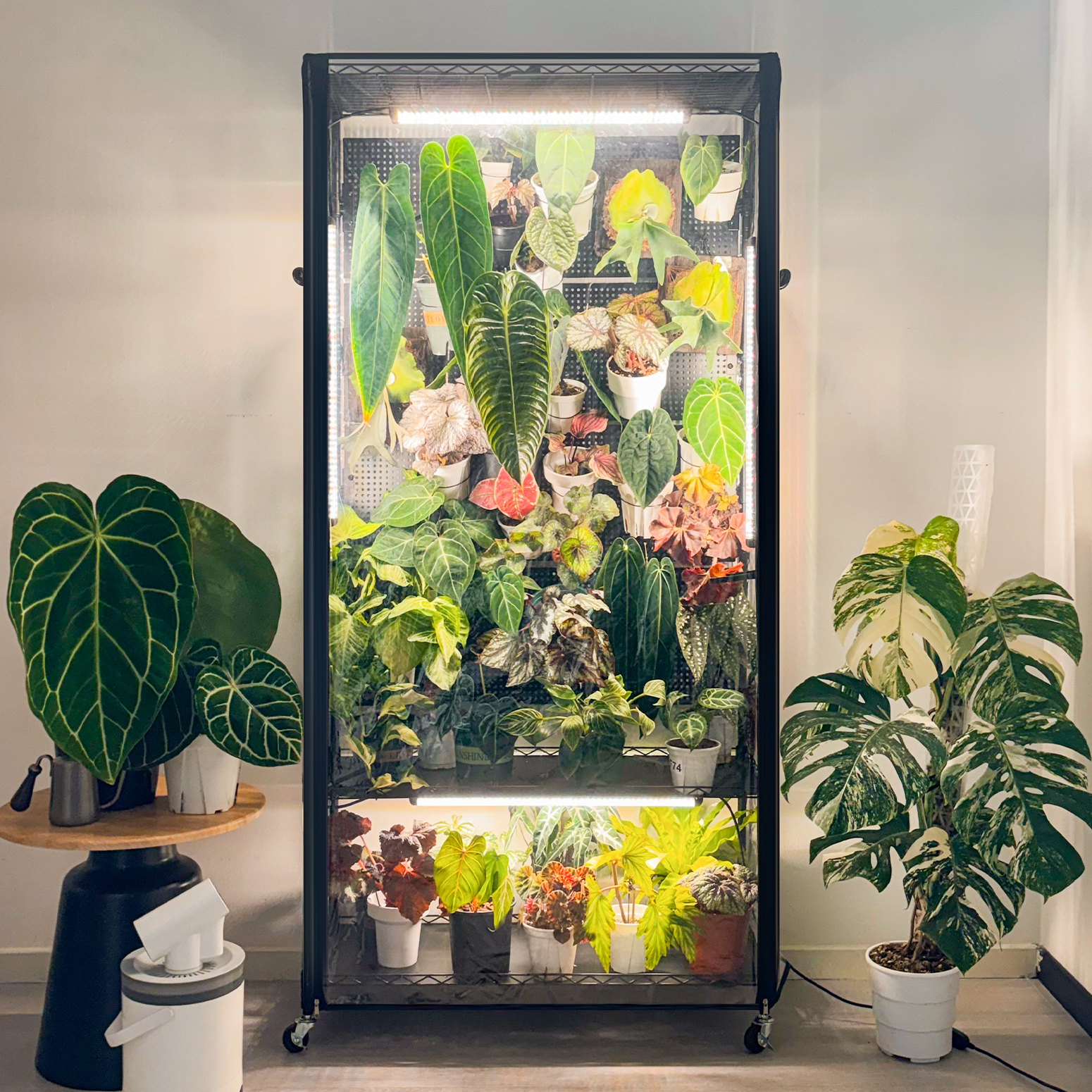 Bstrip 71" Indoor Greenhouse with Grow Light and 4 Pegboards, Vertical Gardening Cabinet with EVA Cover and Full Spectrum LED Lights