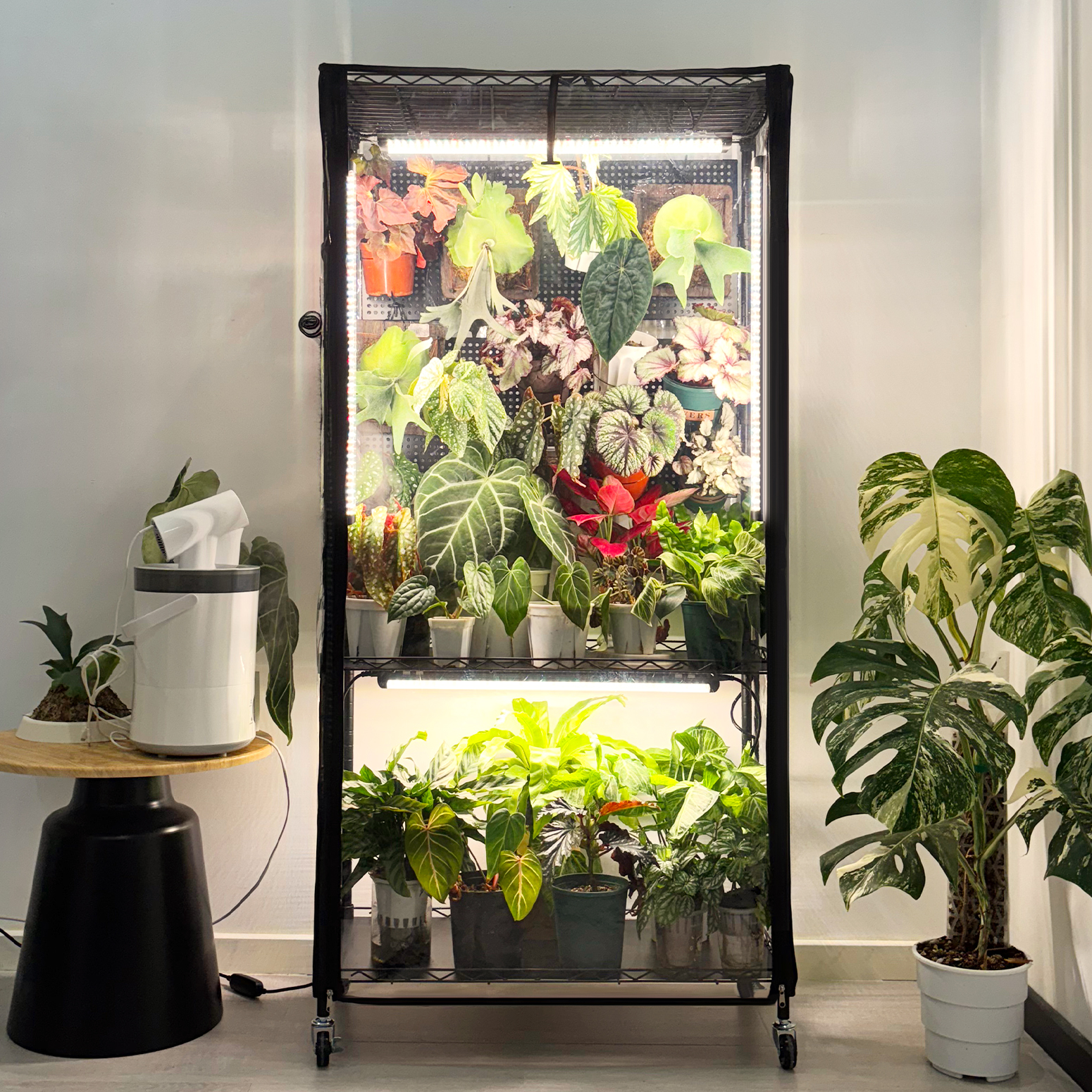 Bstrip 59" Indoor Greenhouse with Grow Light and Pegboard, Mini Greenhouse with EVA Cover and 4x24W Full Spectrum LED Lights