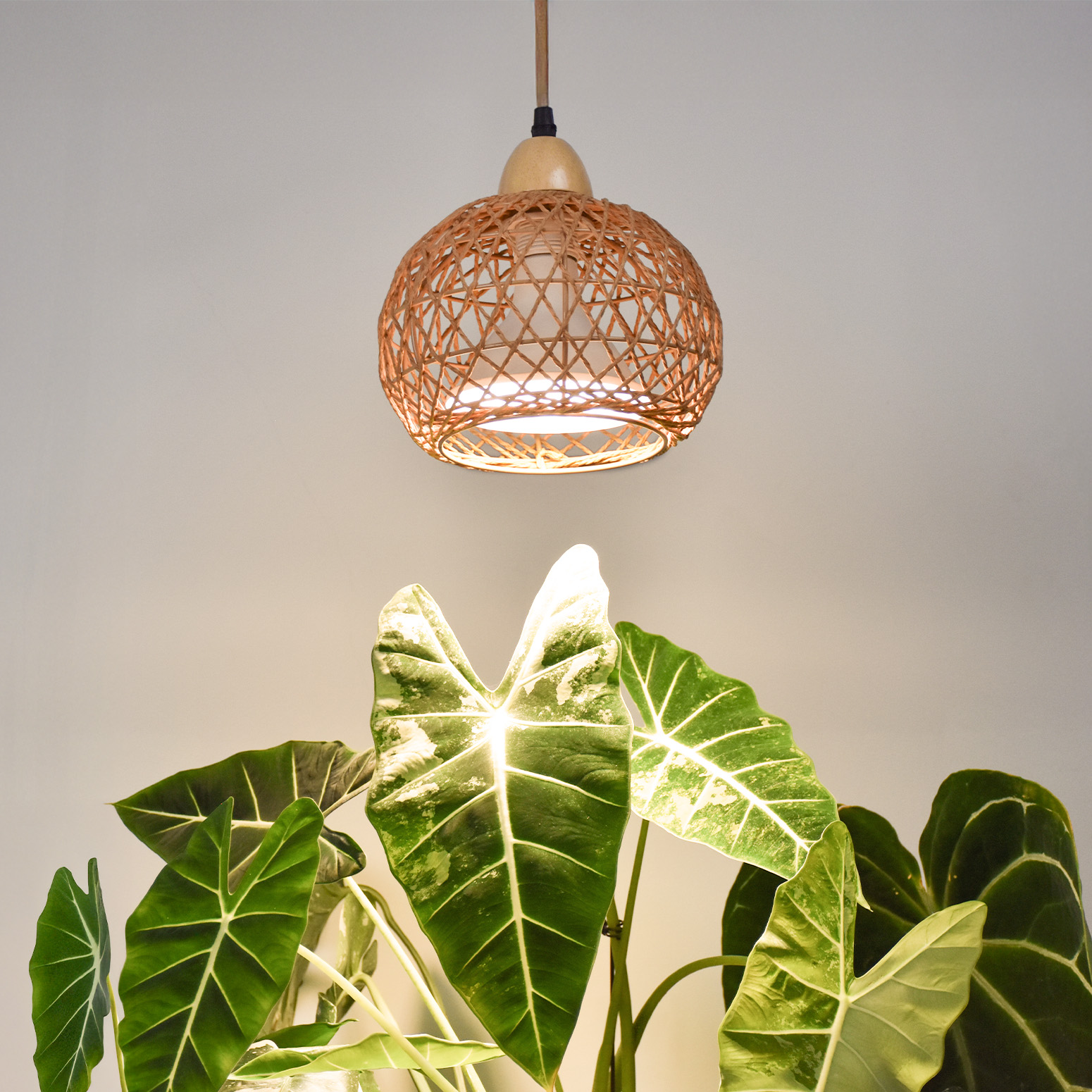 Bstrip 18W Full Spectrum Hanging Grow Light with Timer & Rattan Shade for Indoor Plants
