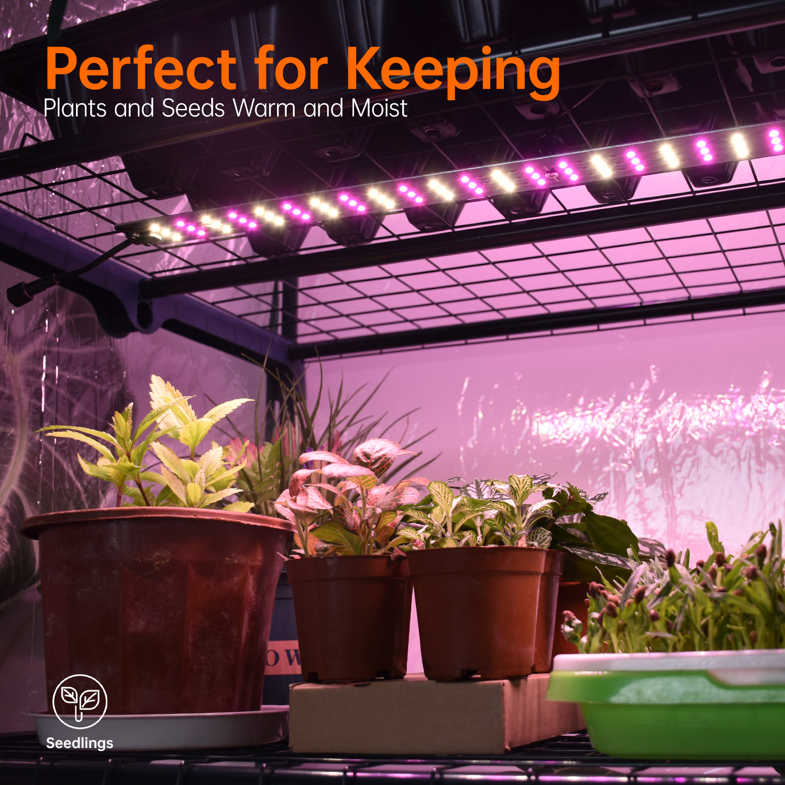 Bstrip Indoor Greenhouse with Grow Lights, 4 Tier 61.8" Mini Greenhouse with Zippered PVC Cover, Four 15W Full Spectrum LED Plant Lights with Timer, Dimmable Grow Light for Seed Starting Trays and Indoor Plants