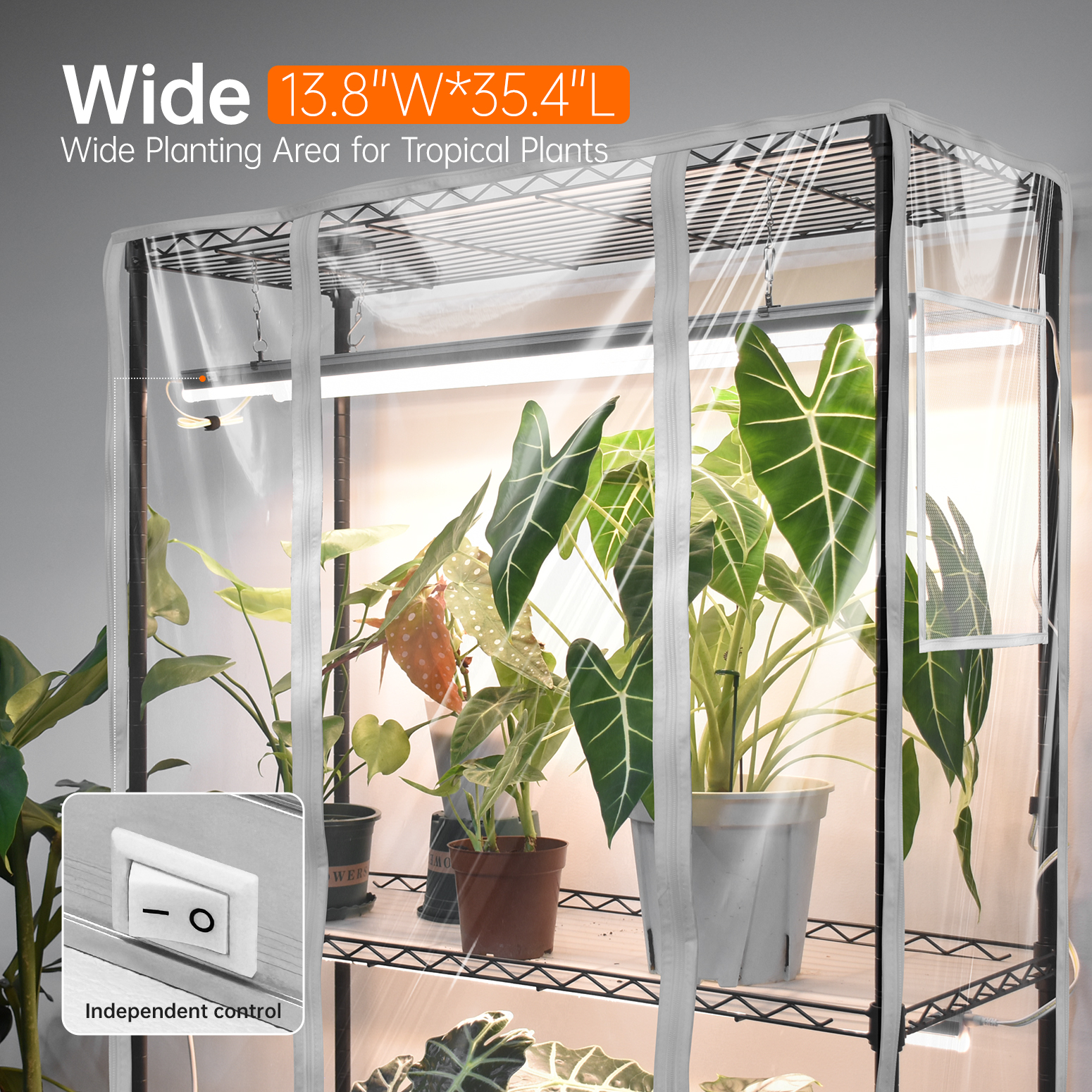 Bstrip Indoor Greenhouse with Grow Lights, 70.8 Inch Tall Plant Stand with 6-Pack Full Spectrum LED Plant Lights, Greenhouse Tent with Dual Power Cords & Wheels for Indoor Gardening, Seed Starting, Tropical Plants