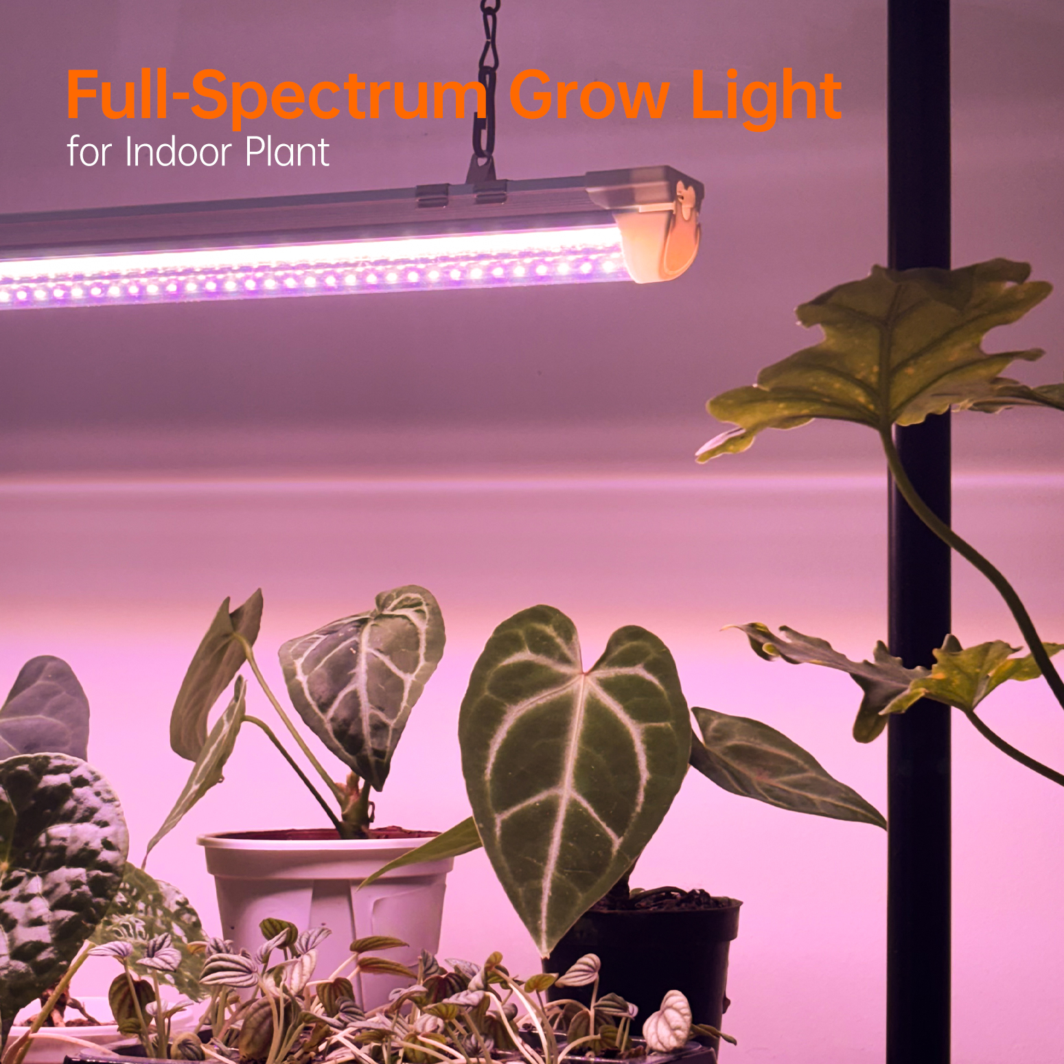 Bstrip PV2 Grow Light Stand, 24W Full Spectrum LED Plant Light with Adjustable Height Stand, 130 LEDs Desktop Seed Starting Light System for Indoor Plants, Large Indoor Grow Kit for Herbs, Flowers & Houseplants (29.5" x 18.3" x 26.0")