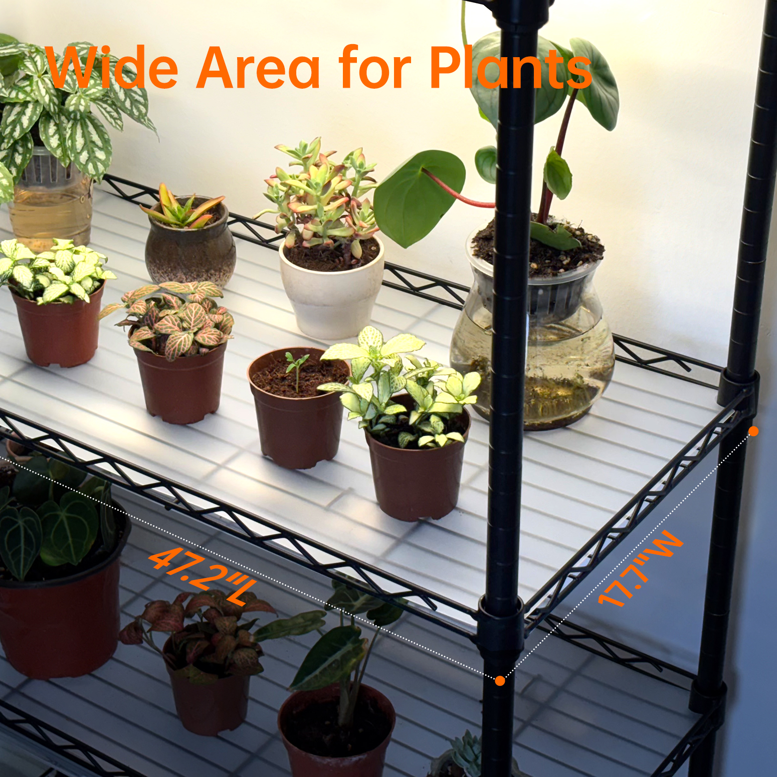 Bstrip Indoor Greenhouse Cabinet with Grow Lights, 71" Tall 5-Tier Plant Stand with Full Spectrum LED Plant Lights, 3 Color Modes & Auto Timer, Mobile Gardening System with Tent for Indoor Plants, Seed Starting