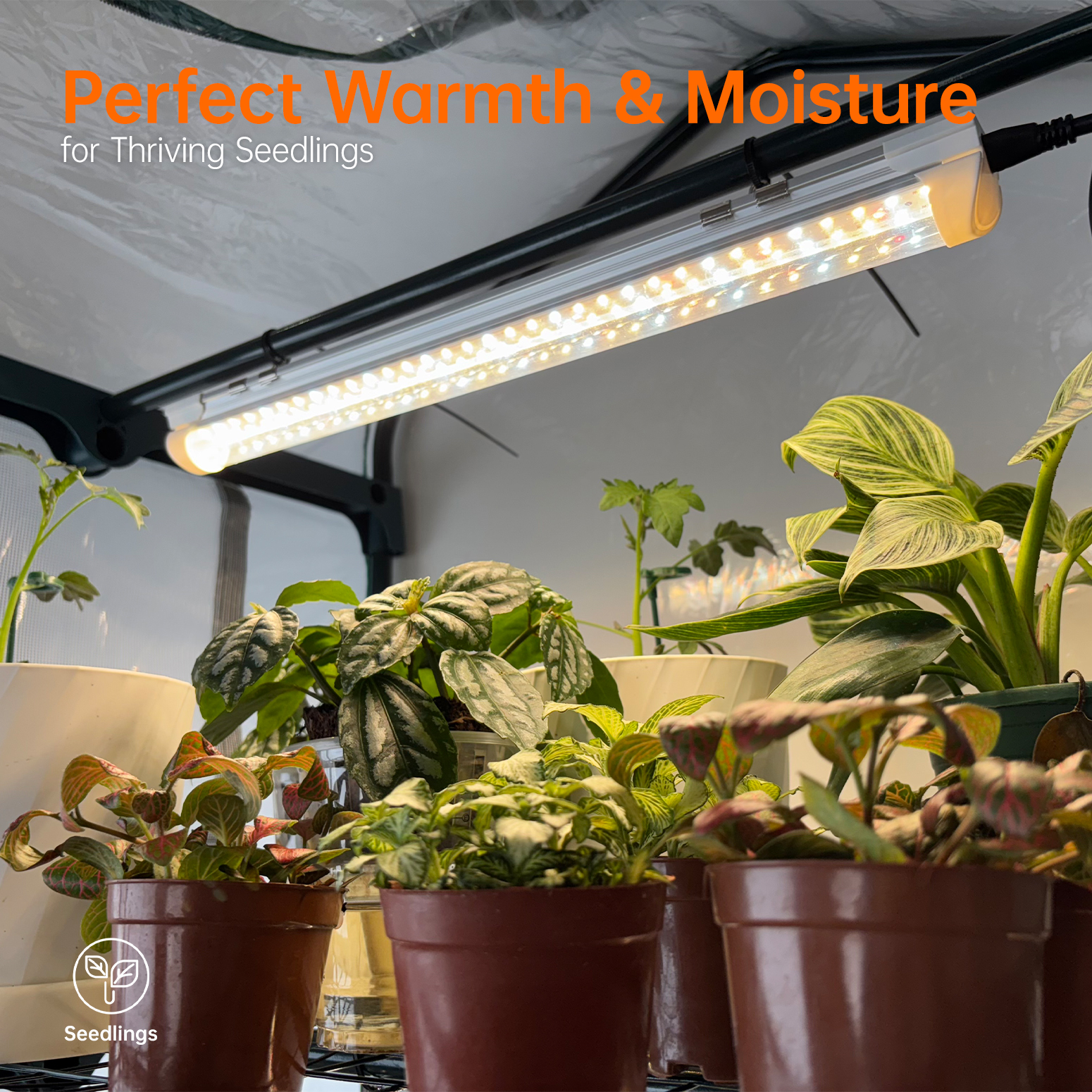 Bstrip Indoor Greenhouse with Grow Lights, 4-Tier Mini Greenhouse with PVC Tent & Waterproof Base Mat, 4Pcs T8 LED Grow Lights with Timer, Ventilation Windows & Zippered Door for Seed Starting, 27.2x19.3x61.8 Inches