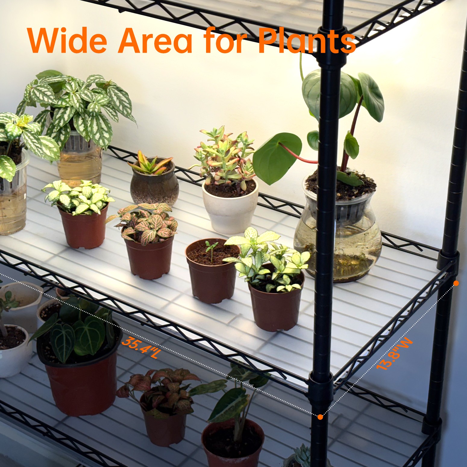 Bstrip 59" 5-Tier Indoor Greenhouse with 4 T8 Grow Lights, 5000K Full Spectrum Plant Shelf with Timer & EVA Cover