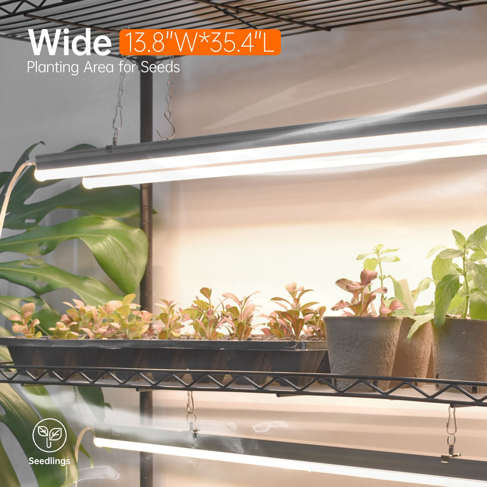 Bstrip Indoor Greenhouse with Grow Lights, 70.8 Inch Tall Plant Stand with 6-Pack Full Spectrum LED Plant Lights, Greenhouse Tent with Dual Power Cords & Wheels for Indoor Gardening, Seed Starting, Tropical Plants