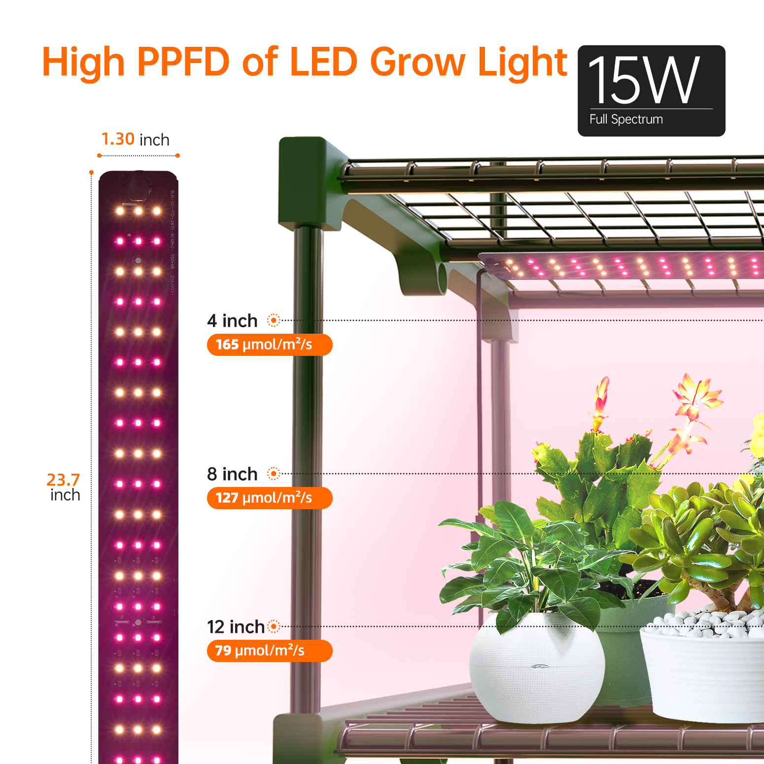 Bstrip Indoor Greenhouse with Grow Lights, 4 Tier 61.8" Mini Greenhouse with Zippered PVC Cover, Four 15W Full Spectrum LED Plant Lights with Timer, Dimmable Grow Light for Seed Starting Trays and Indoor Plants