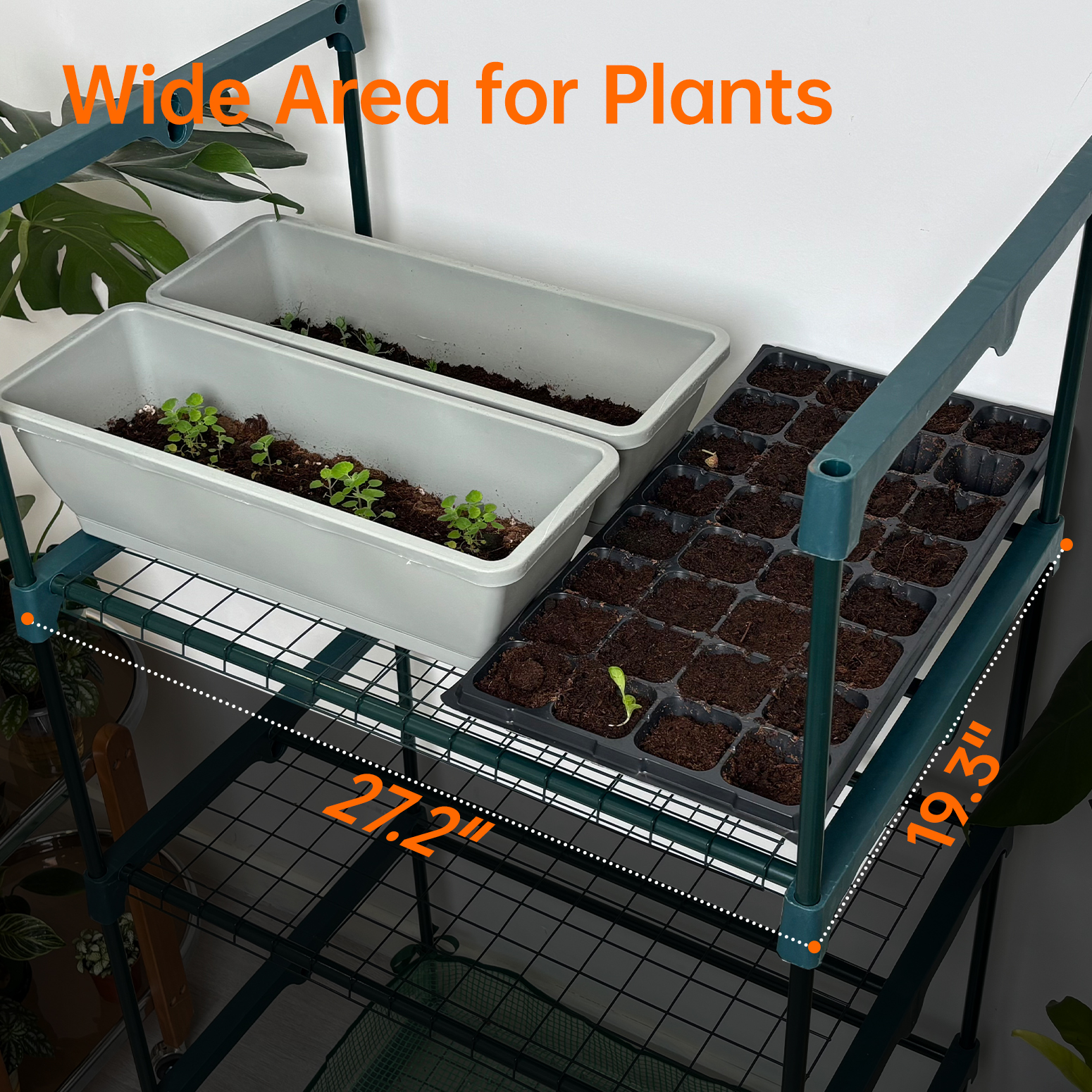 Bstrip Indoor Greenhouse with Grow Lights, 4-Tier Mini Greenhouse with PVC Tent & Waterproof Base Mat, 4Pcs T8 LED Grow Lights with Timer, Ventilation Windows & Zippered Door for Seed Starting, 27.2x19.3x61.8 Inches