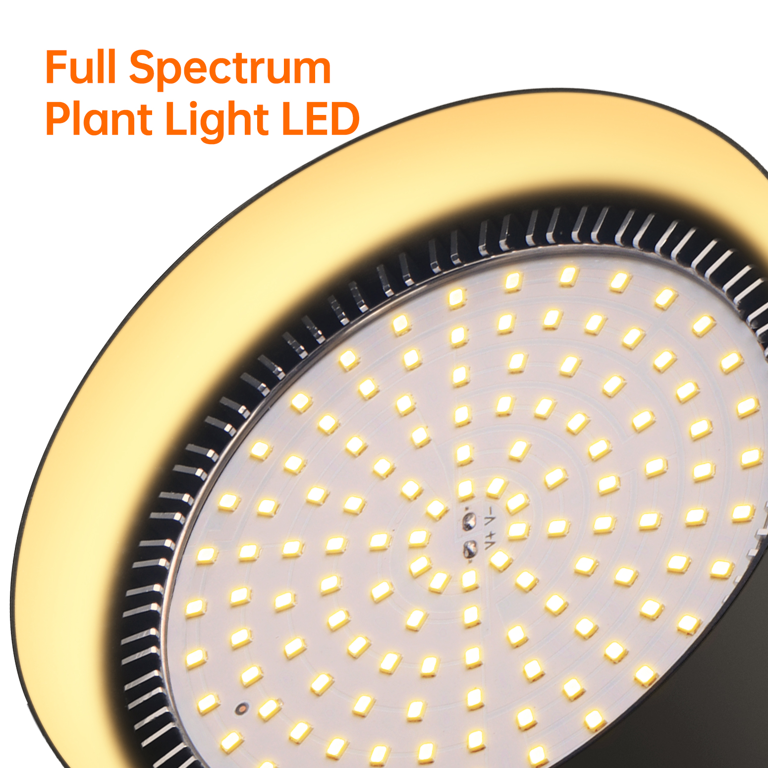 Bstrip 50W Dual Head Hanging Grow Light with Timer, 2x25W Full Spectrum LED Plant Light Bulbs 98 CRI, 16.4FT Power Cord for Indoor Plants, Tall Plants, Gardens, Flowers, Greenhouses