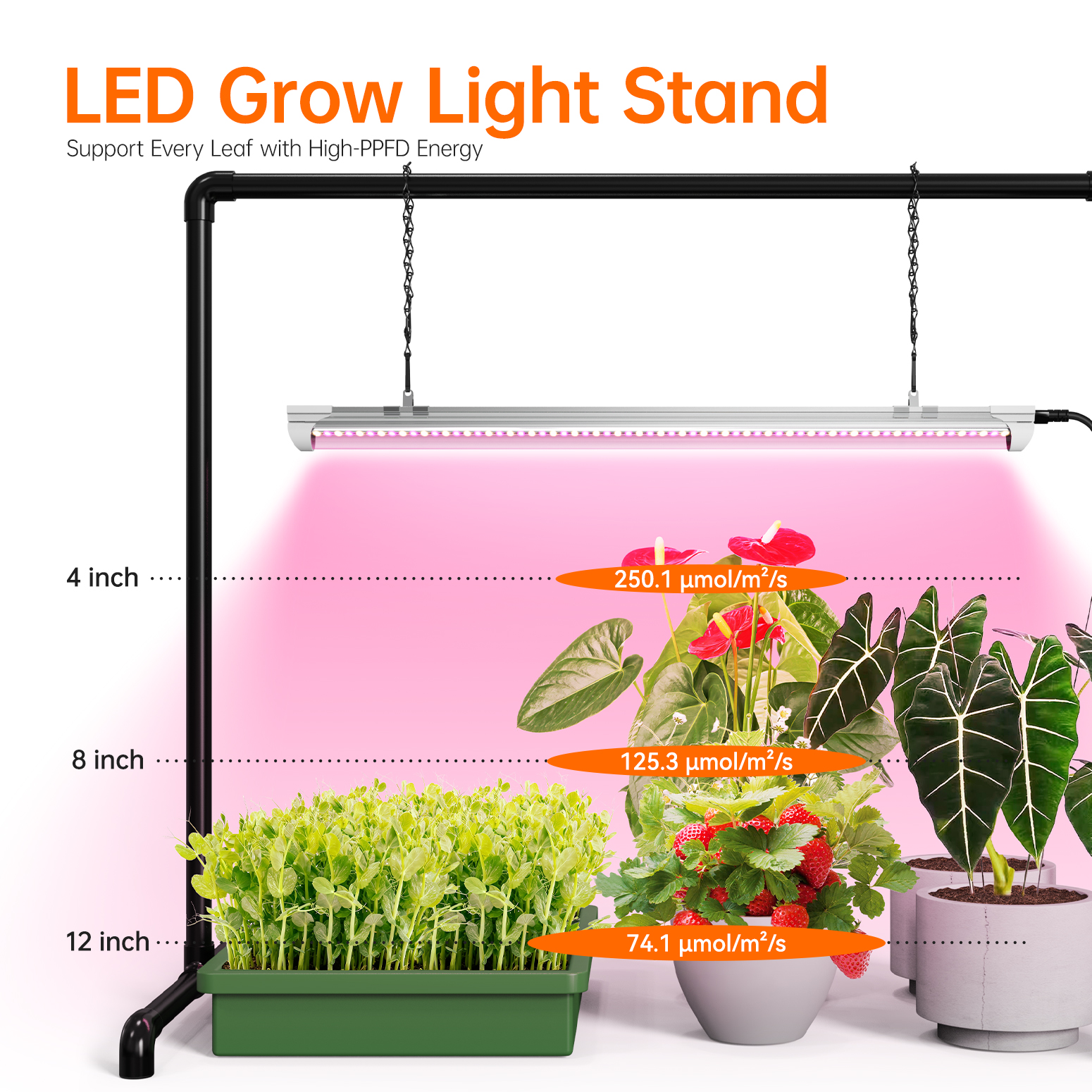 Bstrip PV2 Grow Light Stand, 24W Full Spectrum LED Plant Light with Adjustable Height Stand, 130 LEDs Desktop Seed Starting Light System for Indoor Plants, Large Indoor Grow Kit for Herbs, Flowers & Houseplants (29.5" x 18.3" x 26.0")